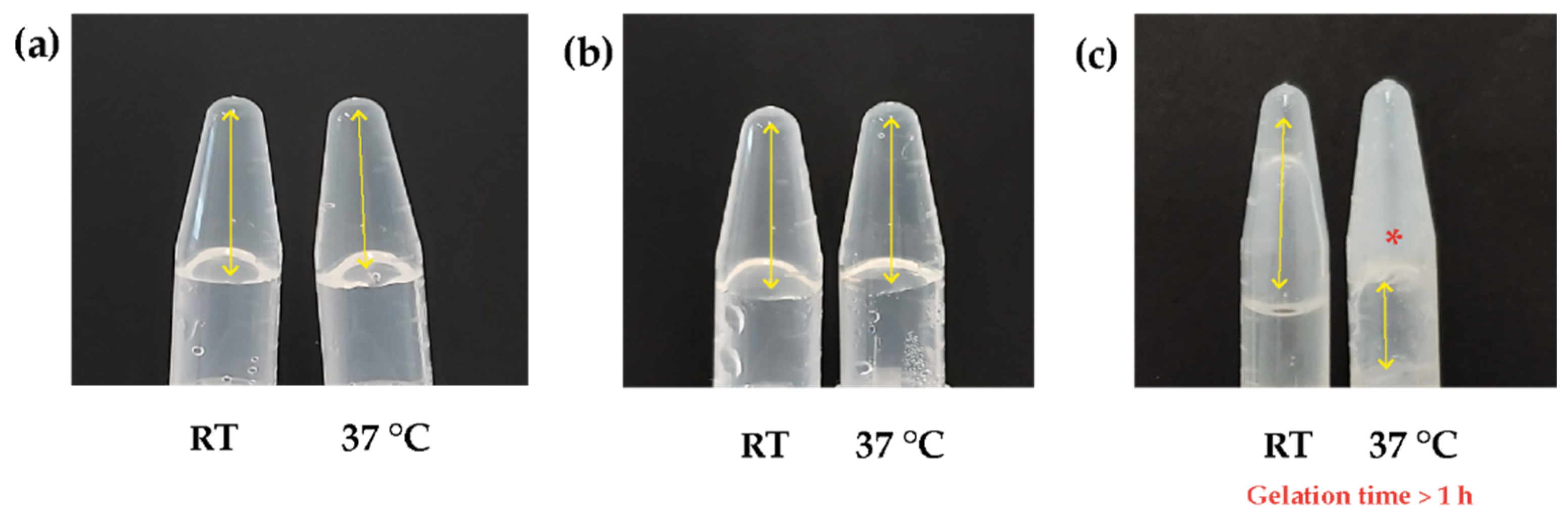 Polymers 16 02206 g001