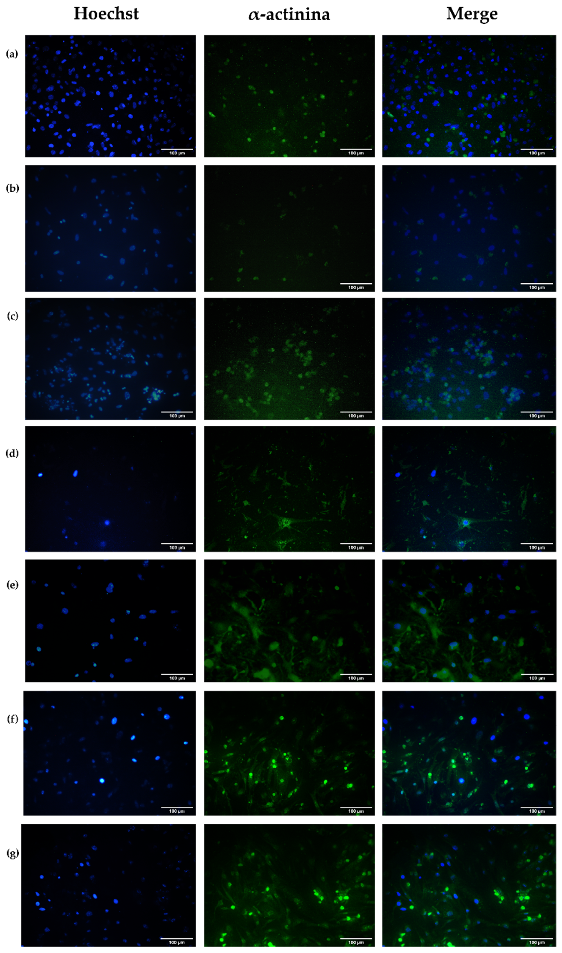 Polymers 16 02206 g013