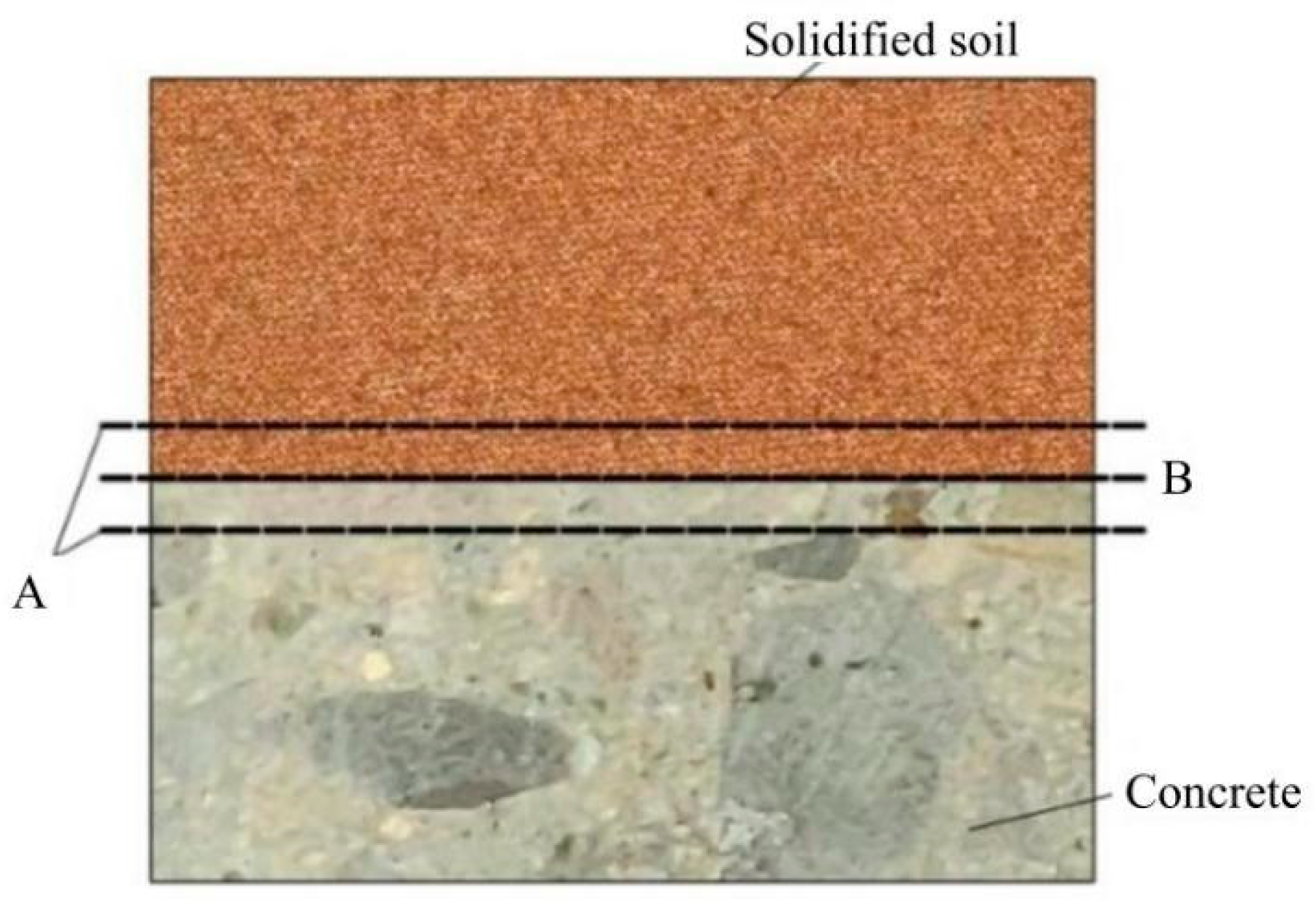 Polymers 16 02207 g012
