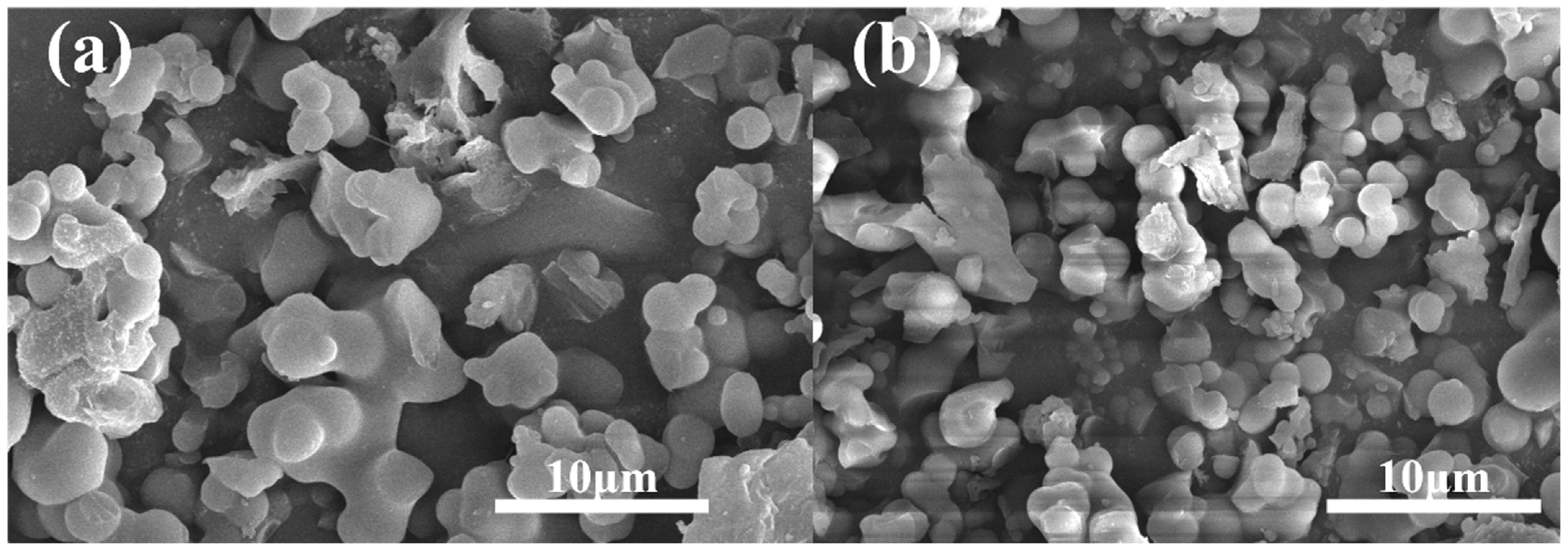 Polymers 16 02208 g005