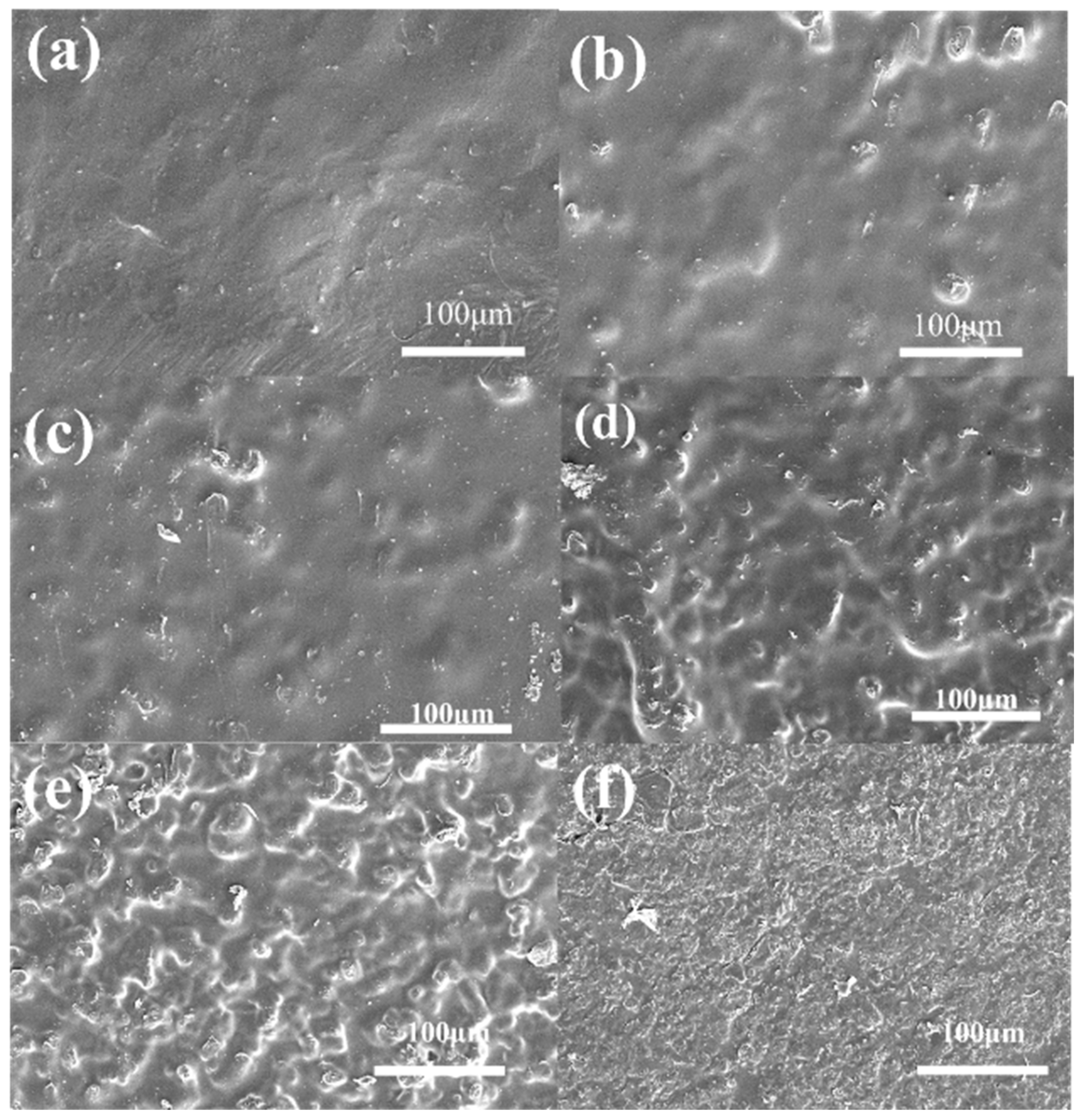 Polymers 16 02208 g006