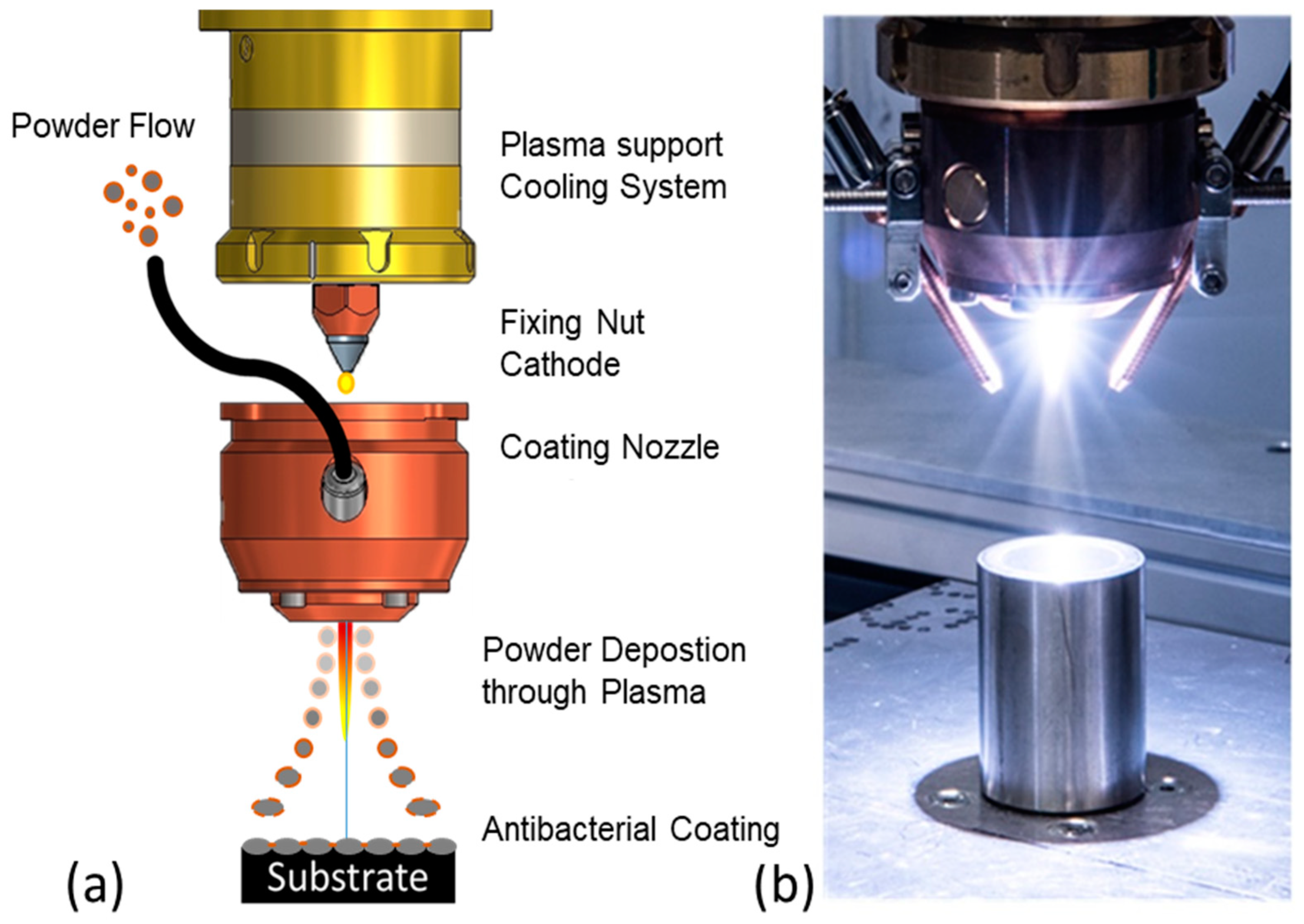 Polymers 16 02209 g001