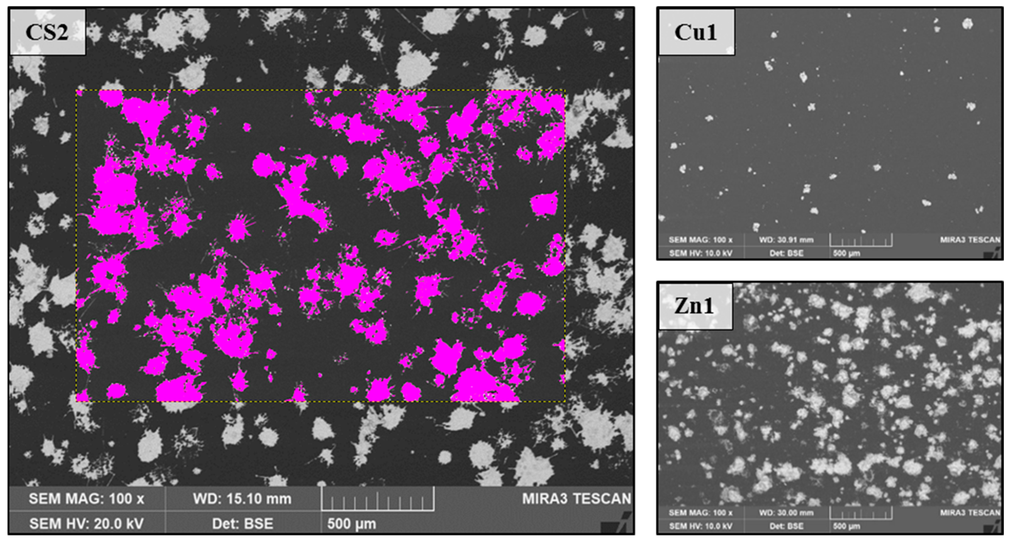 Polymers 16 02209 g006