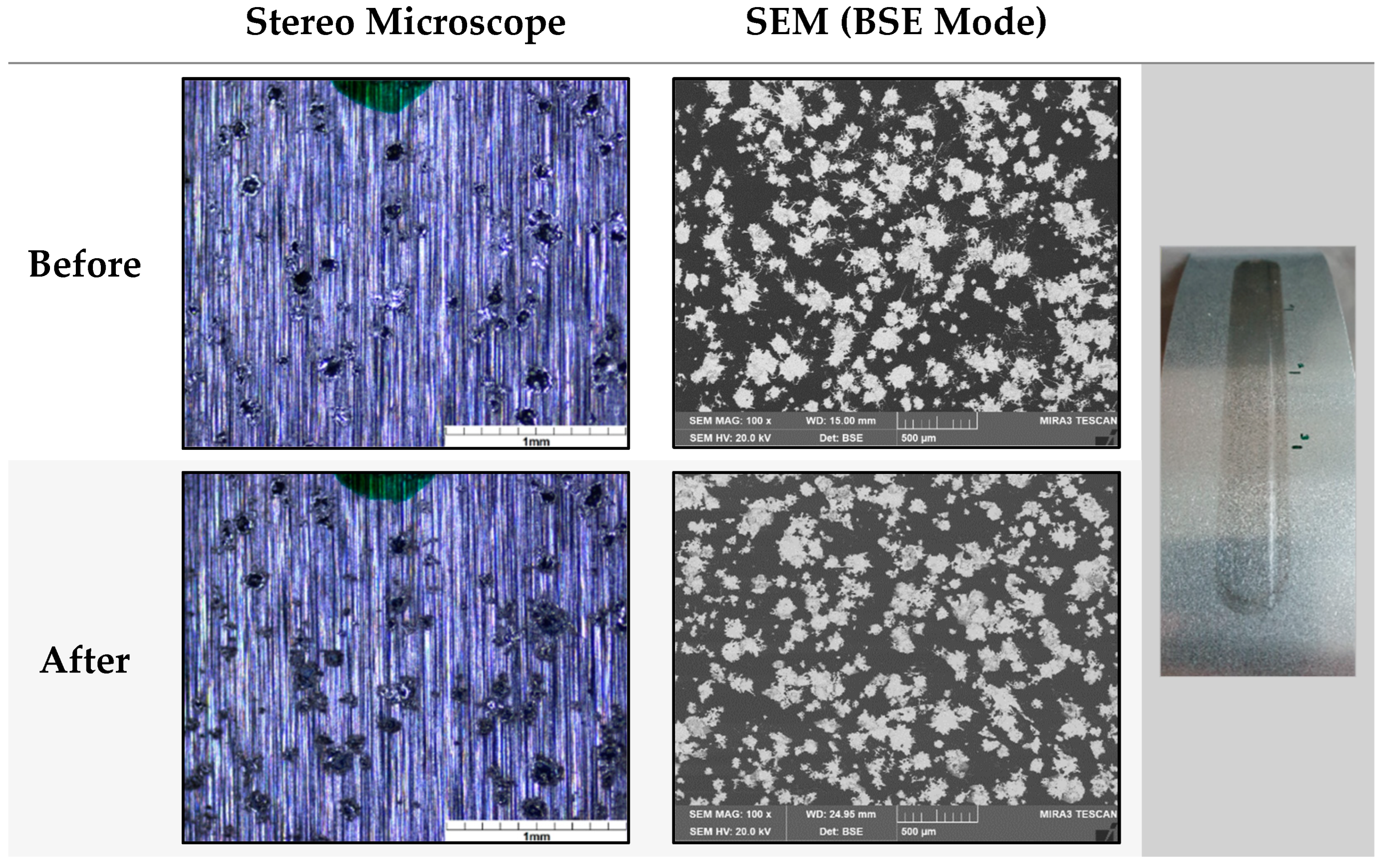 Polymers 16 02209 g007