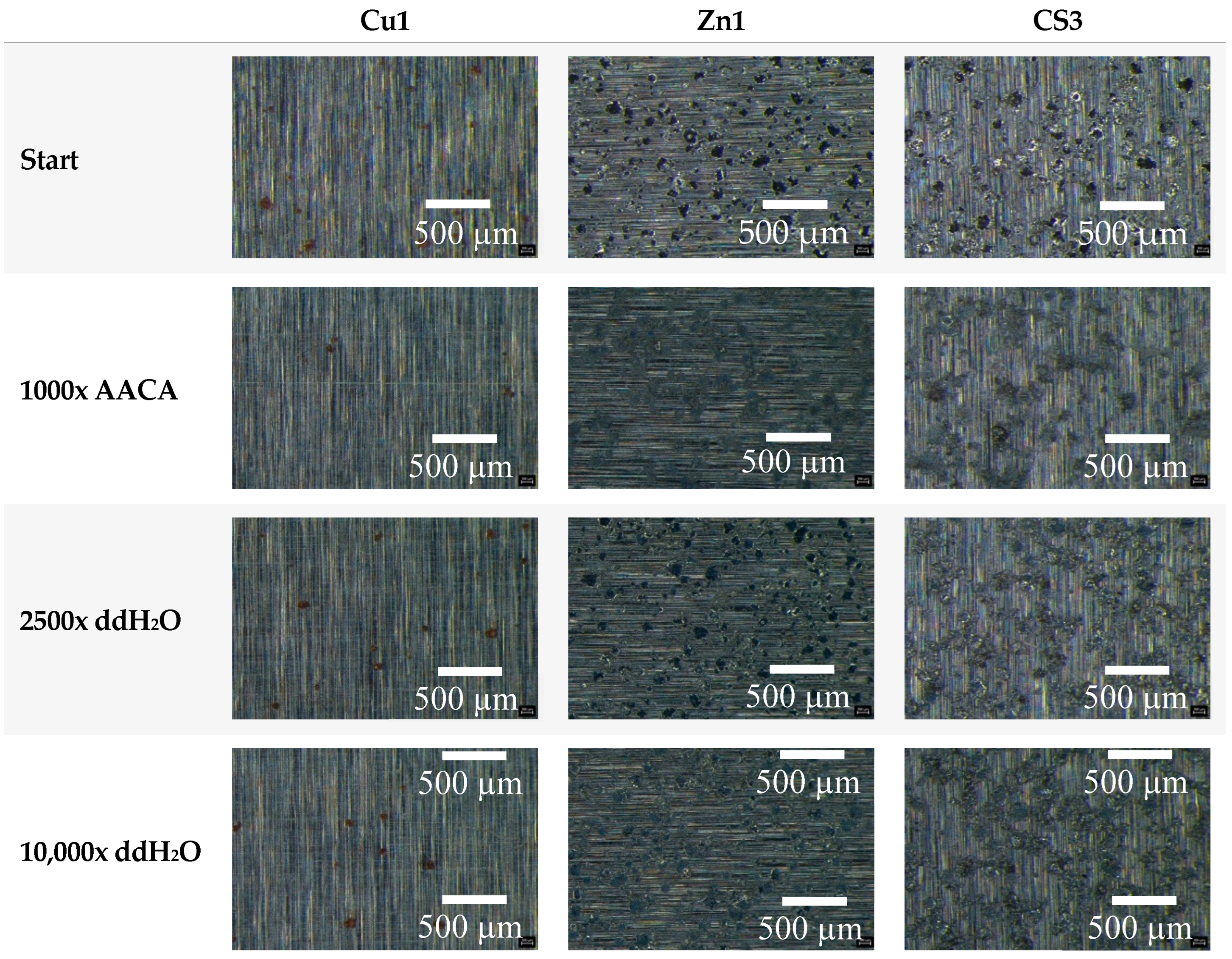 Polymers 16 02209 g010