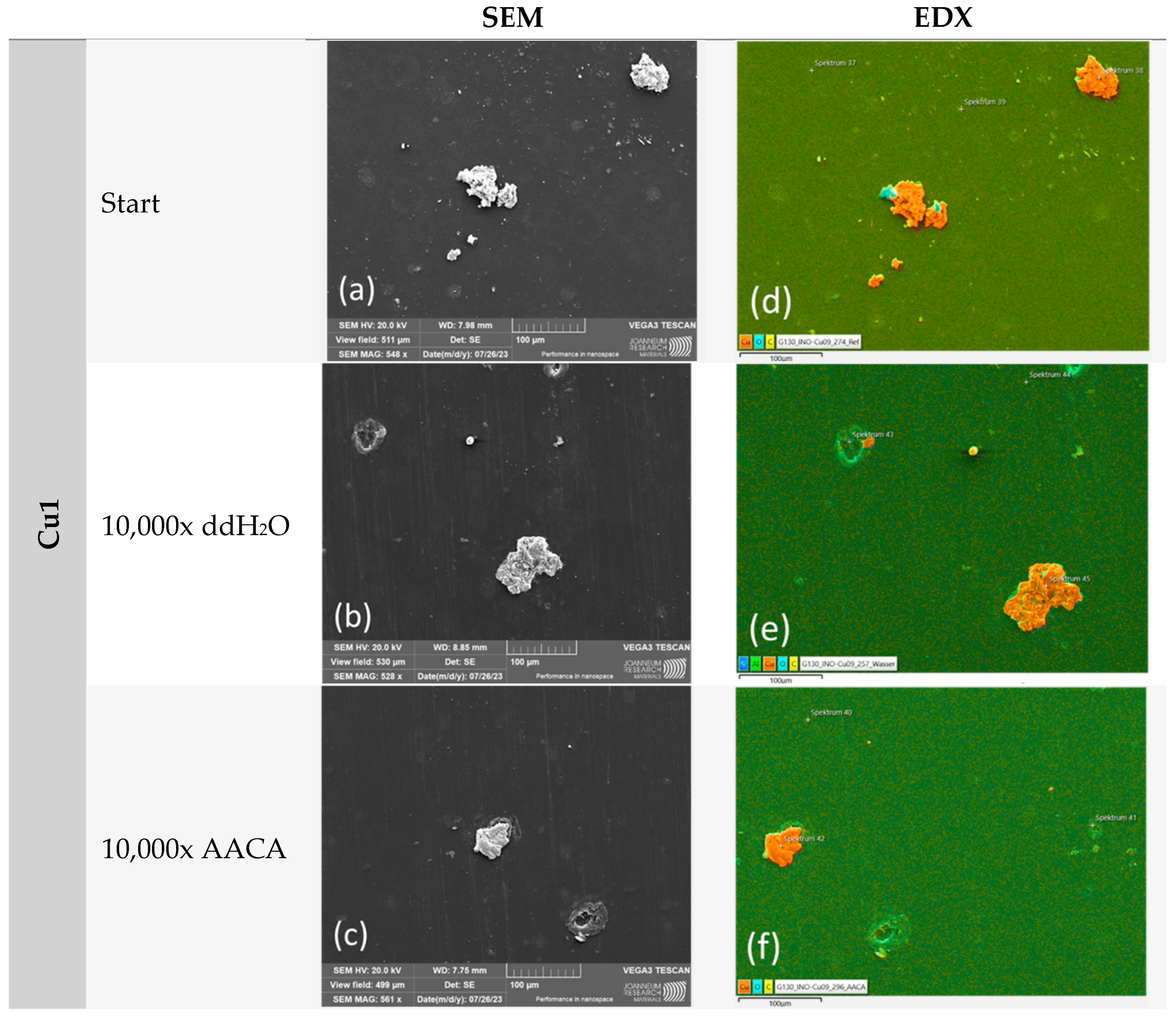 Polymers 16 02209 g011