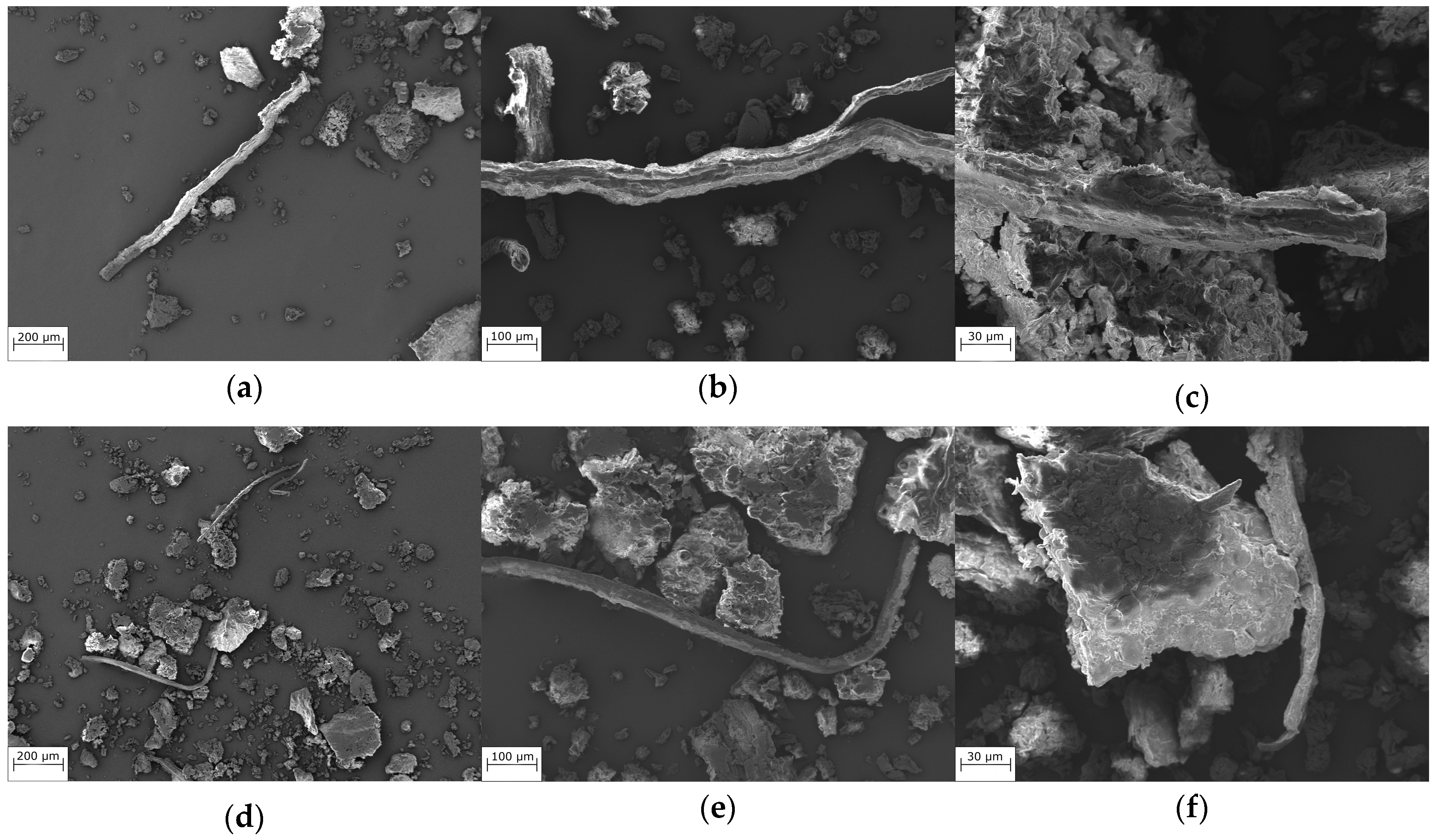 Polymers 16 02215 g002