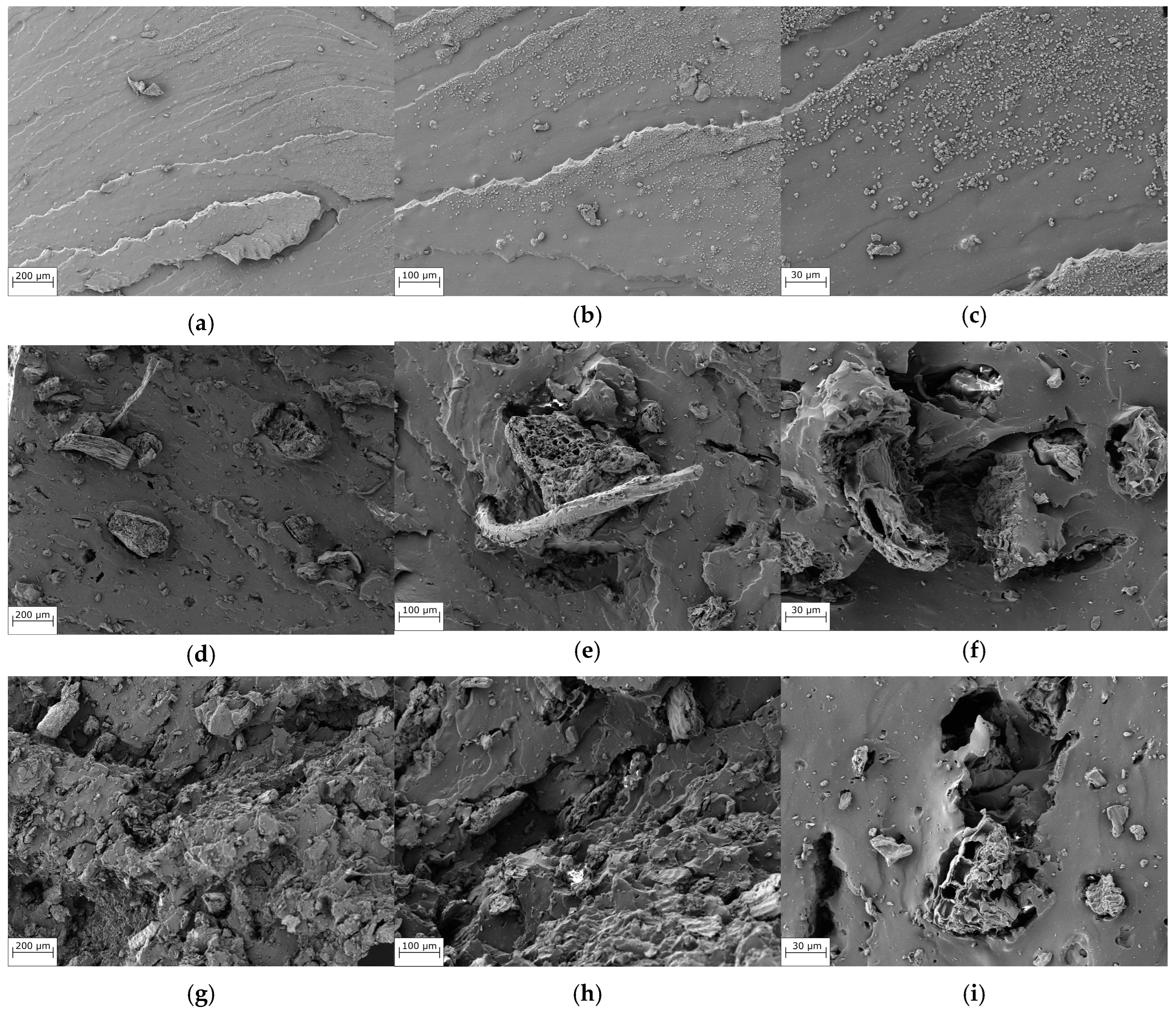 Polymers 16 02215 g003