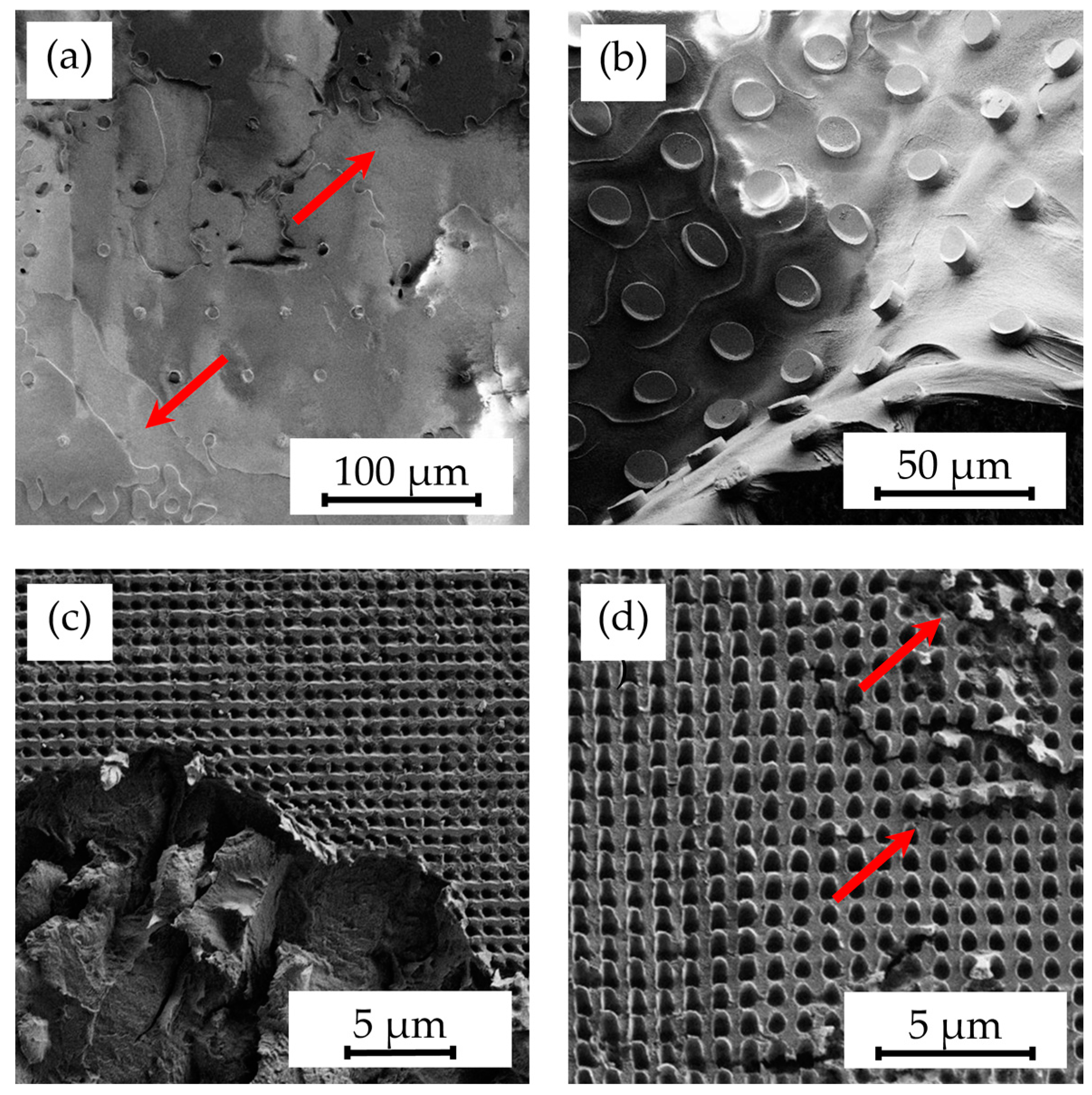 Polymers 16 02218 g001