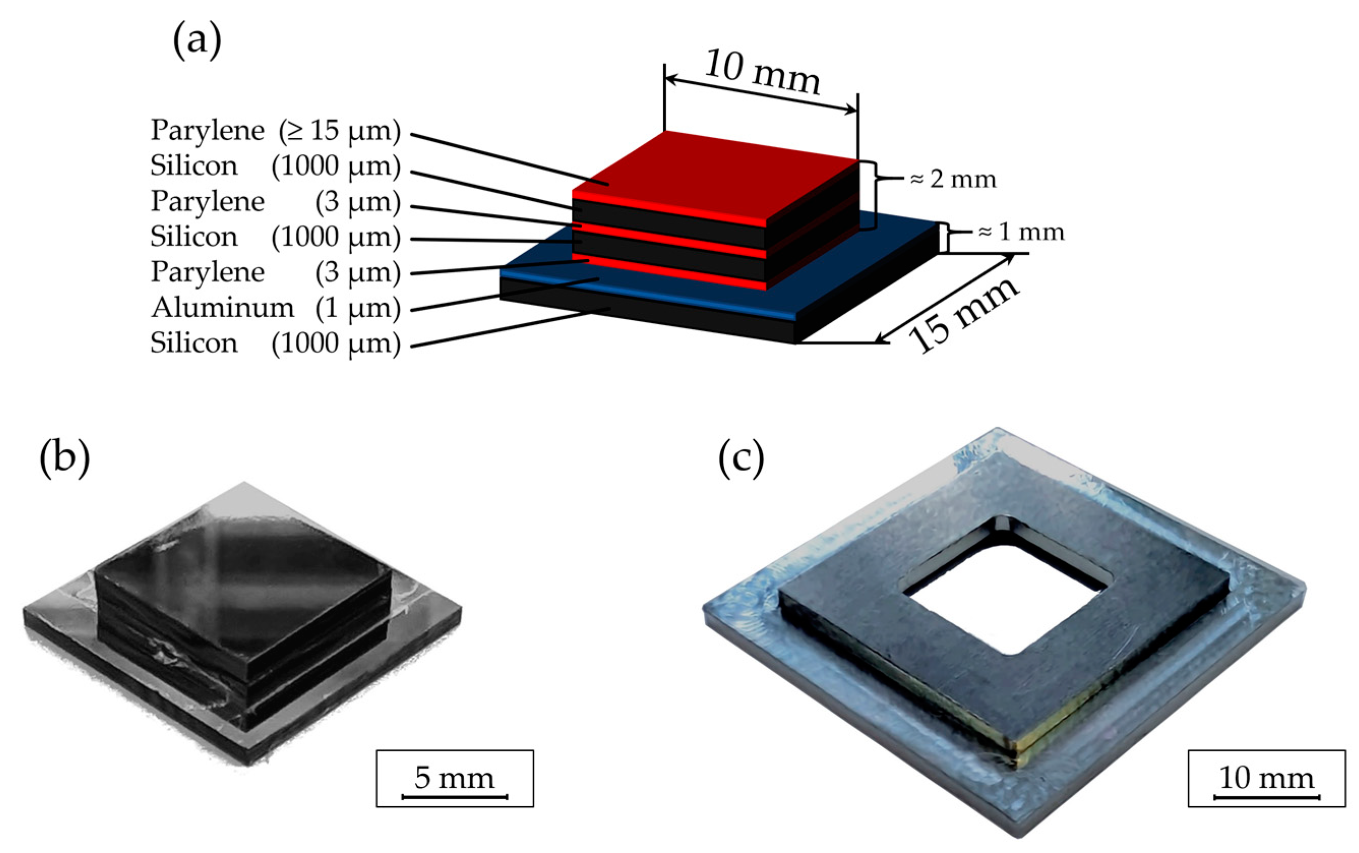 Polymers 16 02218 g004