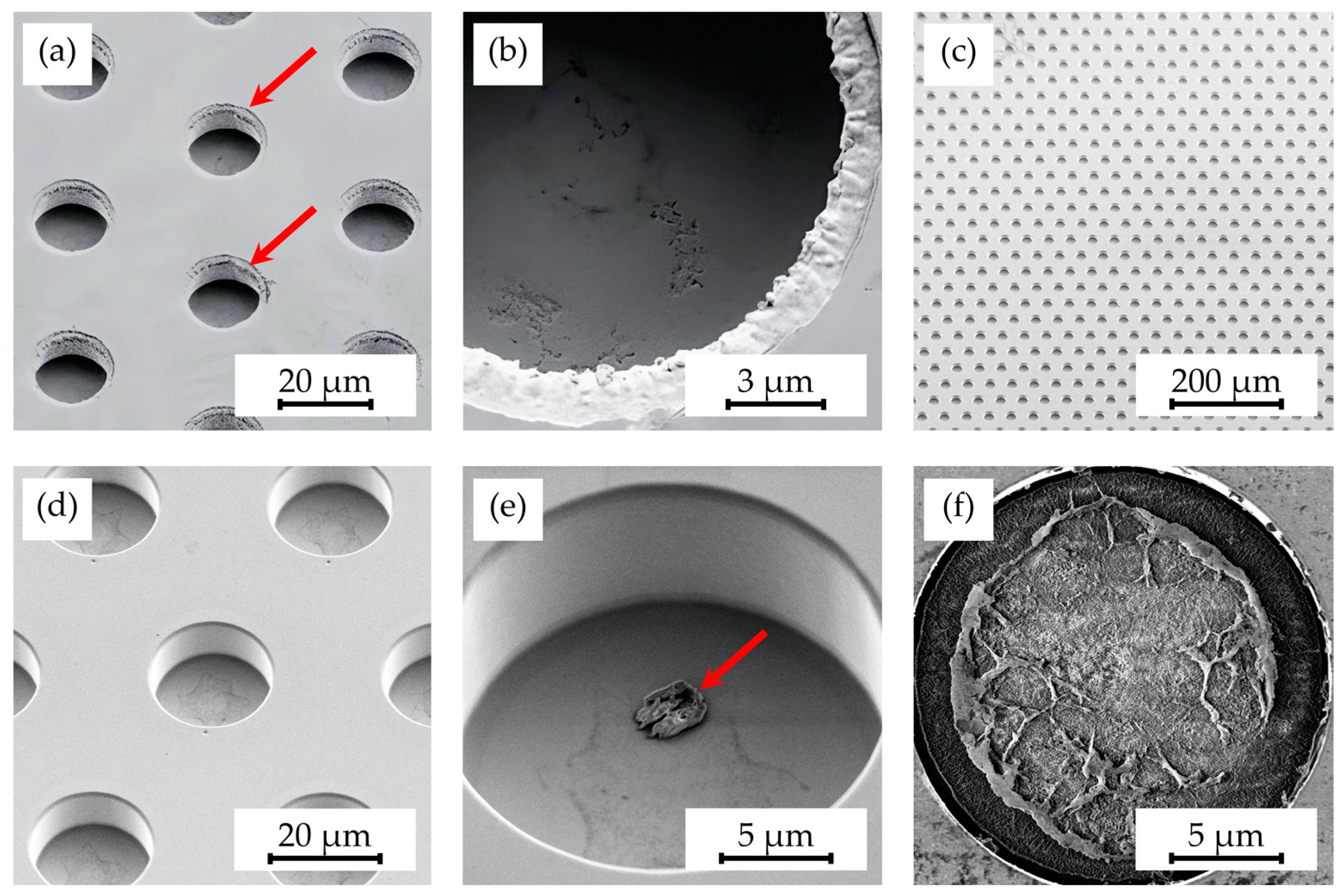 Polymers 16 02218 g007