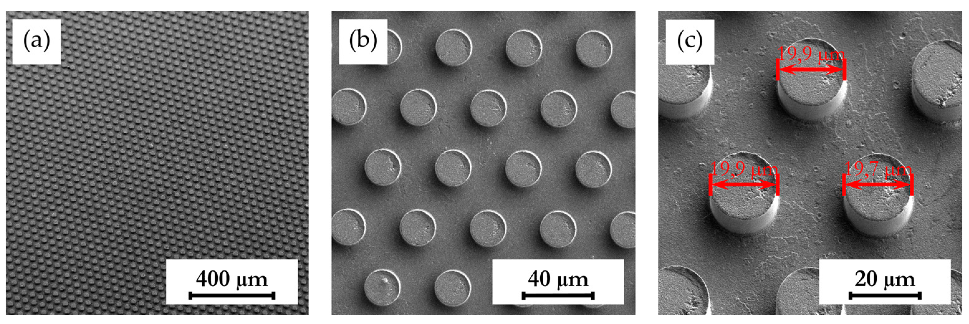 Polymers 16 02218 g014
