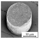 Polymers 16 02218 i003