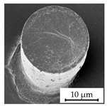 Polymers 16 02218 i004