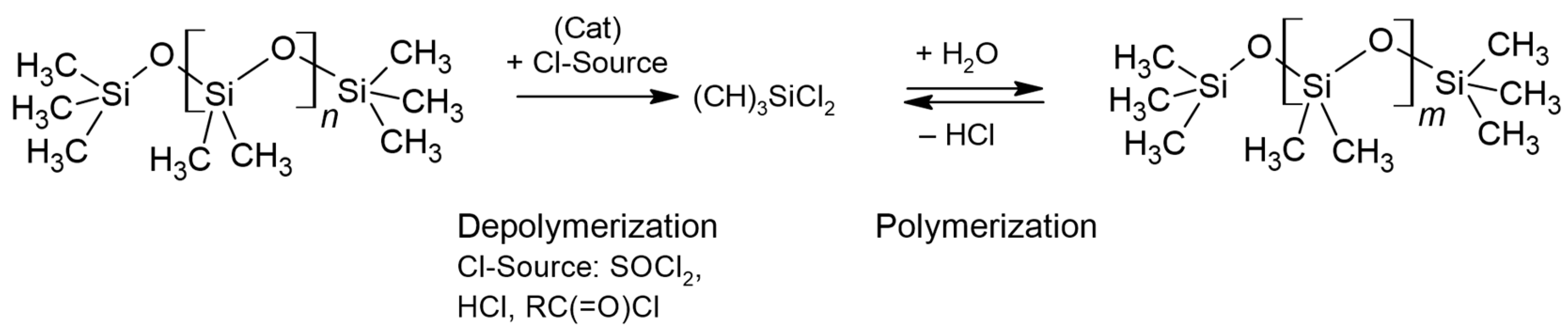 Polymers 16 02220 g013