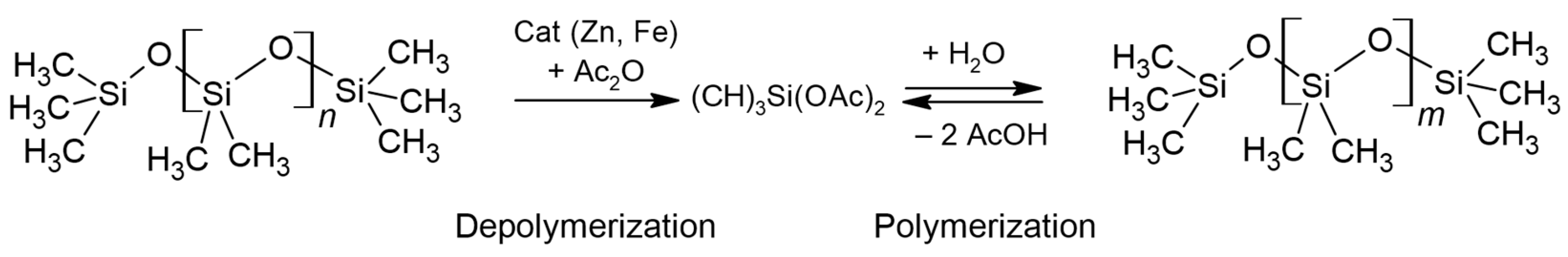 Polymers 16 02220 g014