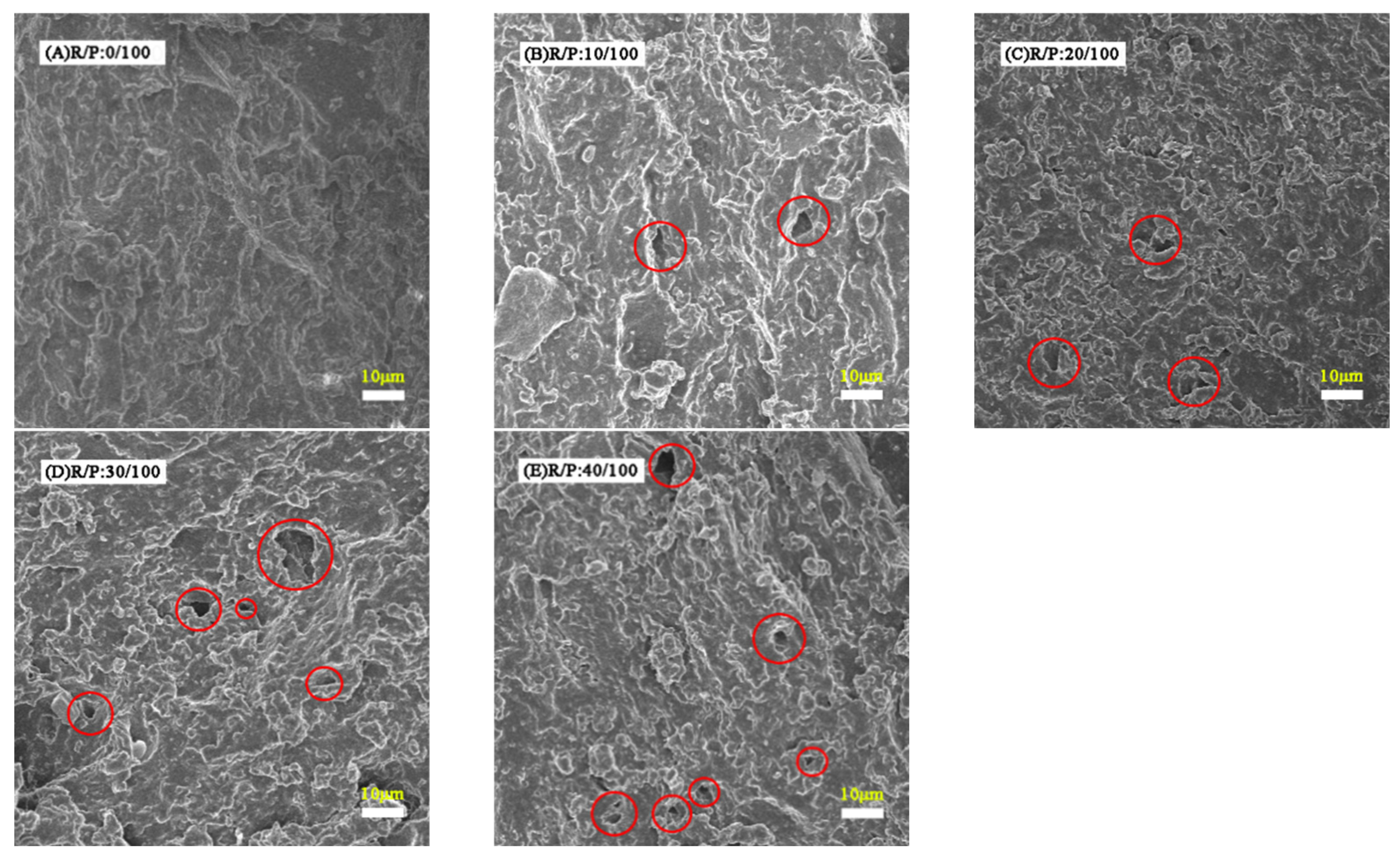 Polymers 16 02221 g006 Polymers 16 02221 g006