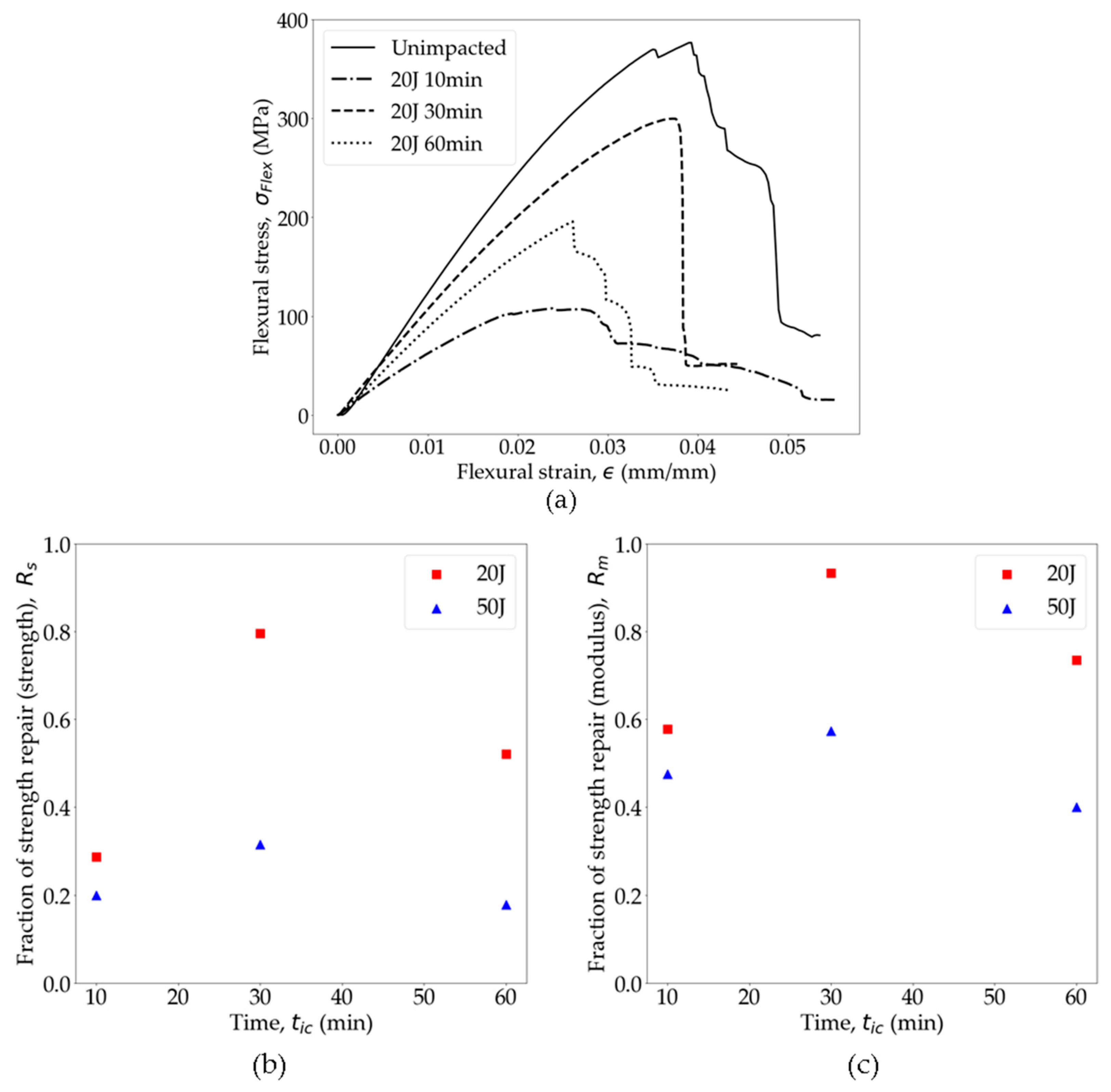 Polymers 16 02223 g014