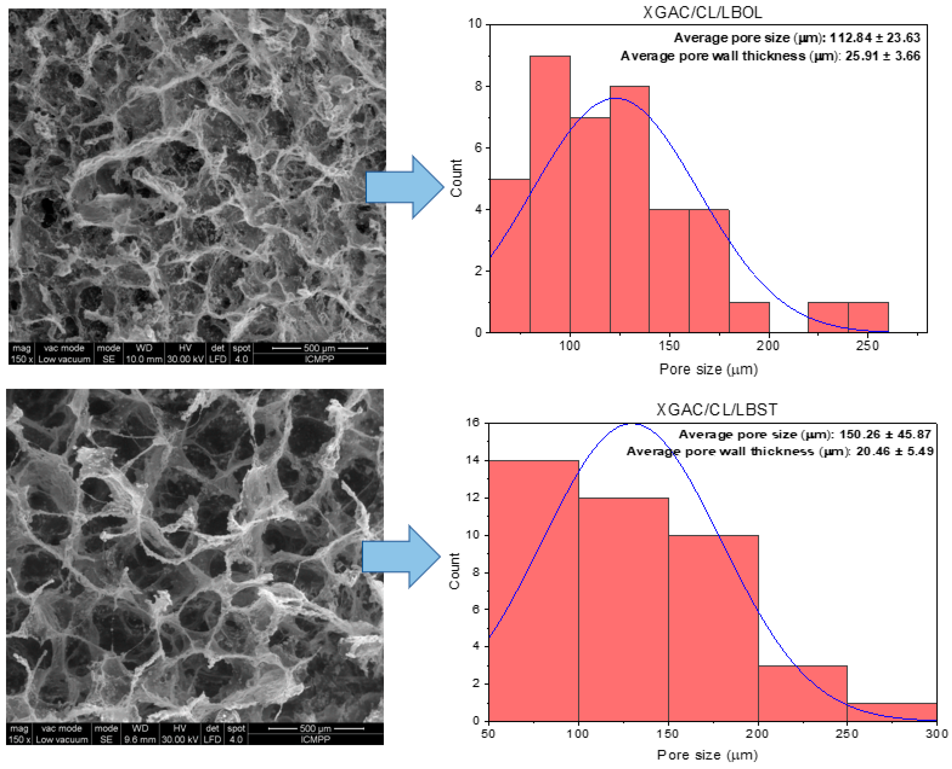 Polymers 16 02225 g004b
