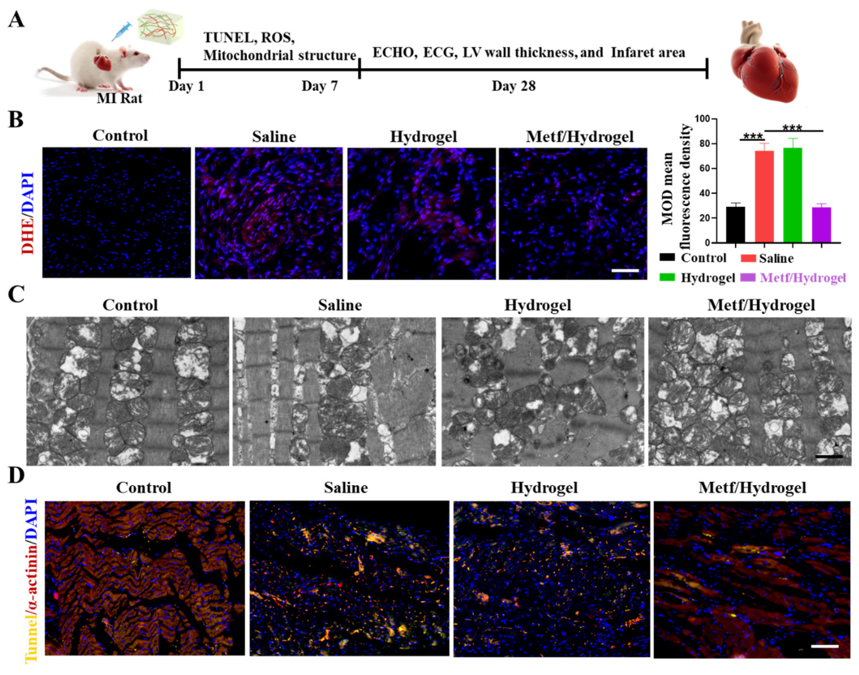 Polymers 16 02226 g004