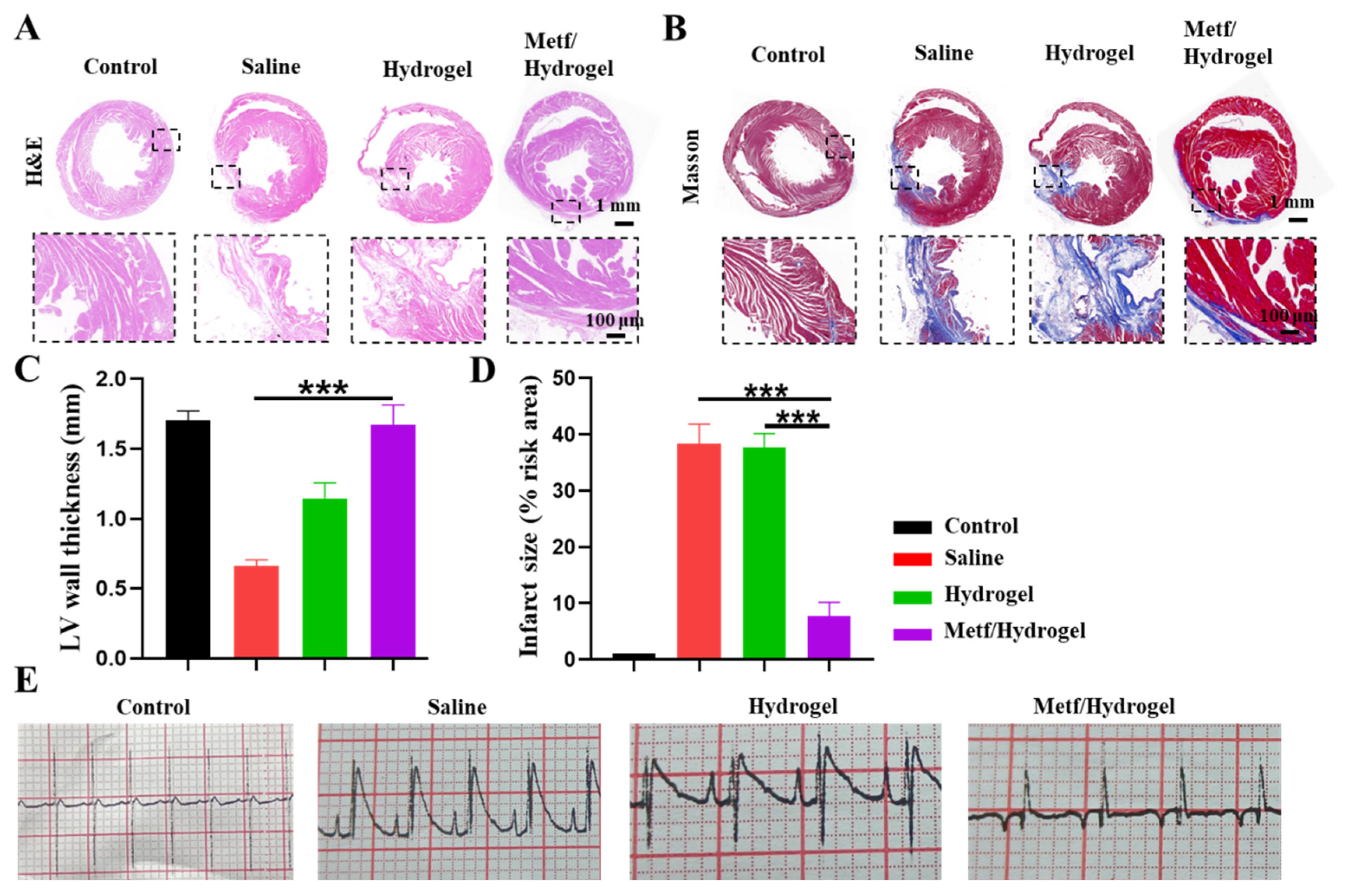 Polymers 16 02226 g005