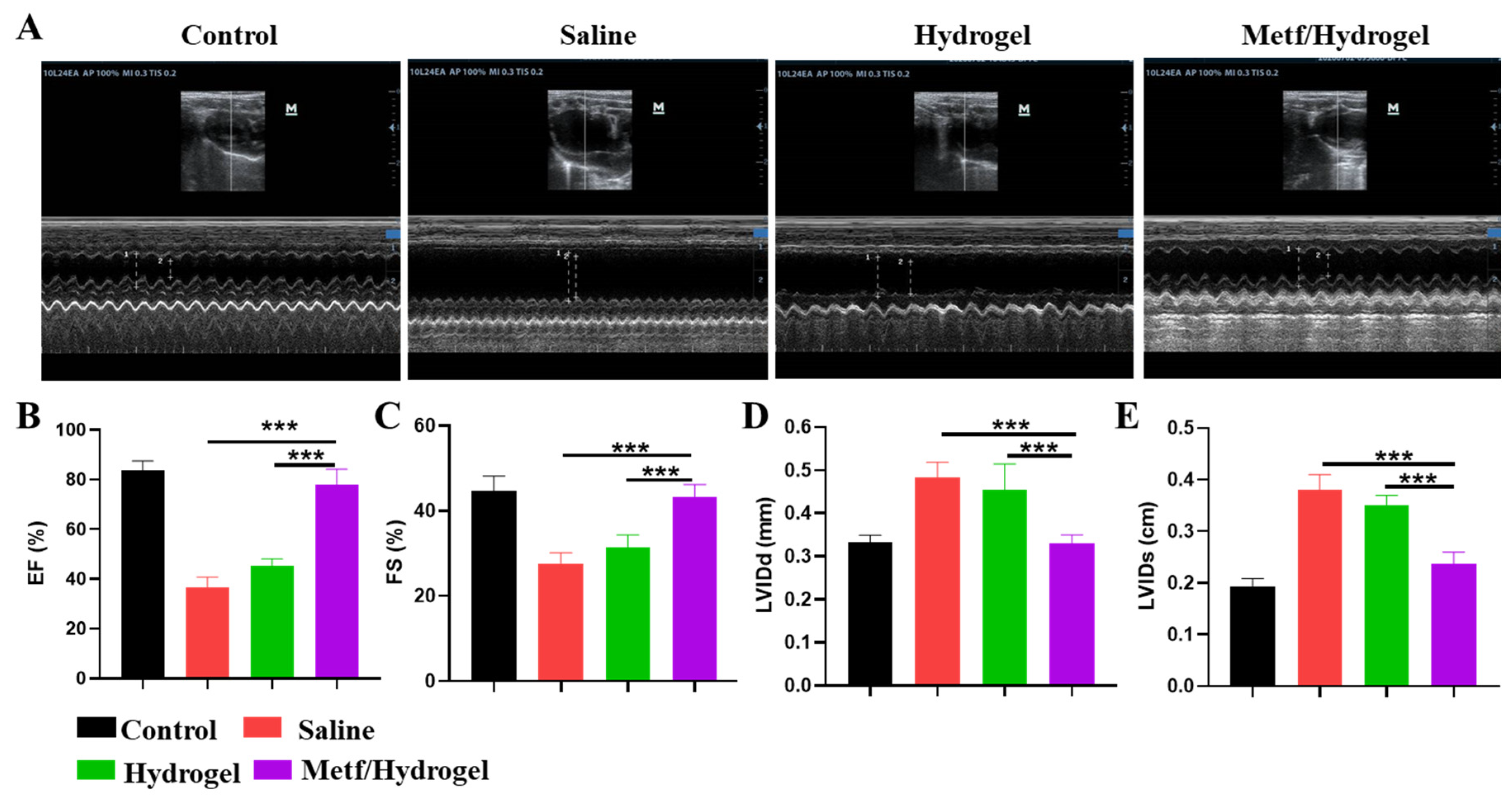 Polymers 16 02226 g006