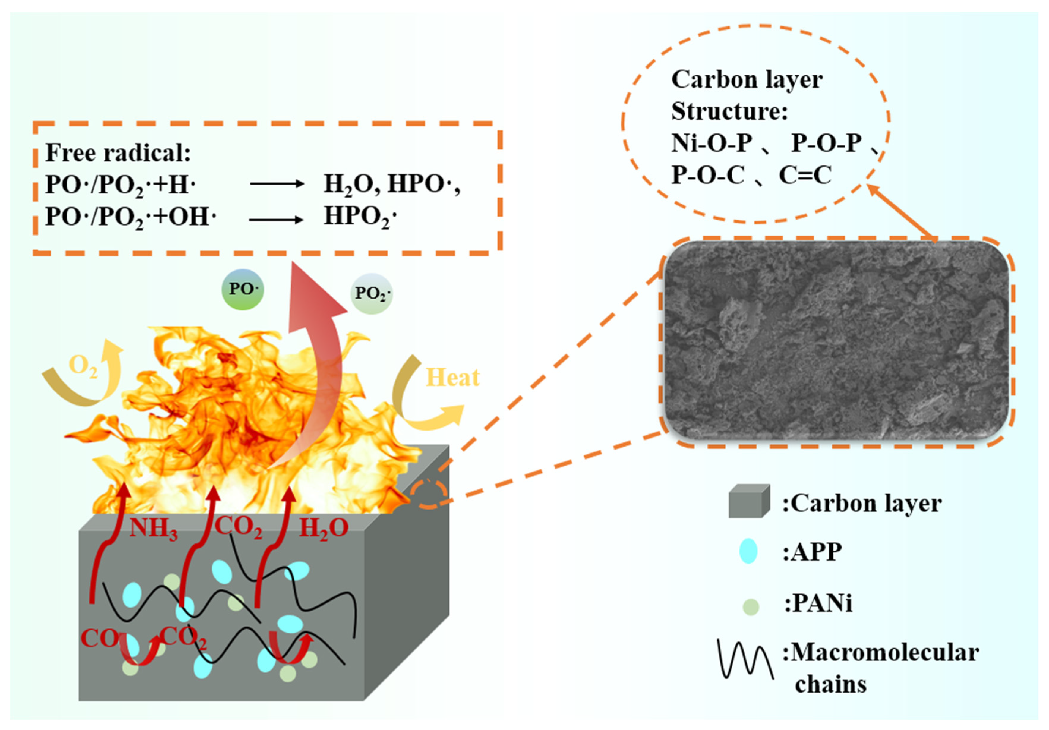 Polymers 16 02229 g008