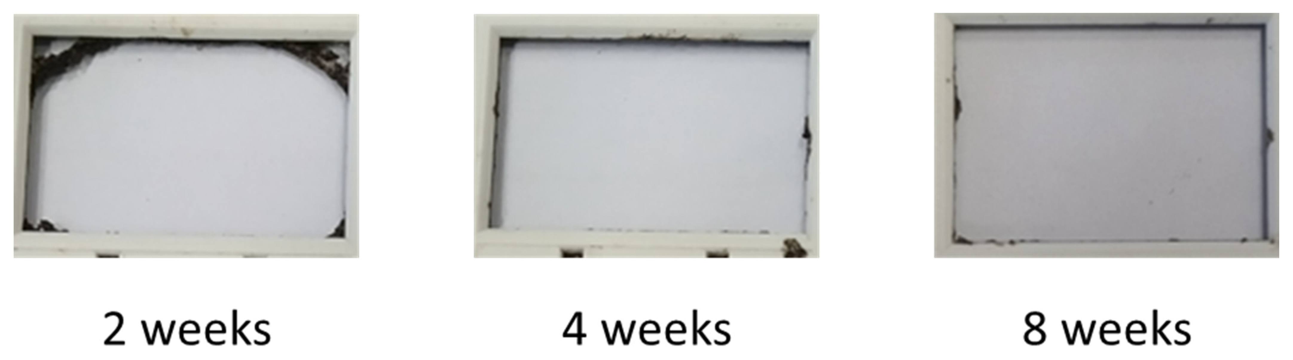 Polymers 16 02236 g006