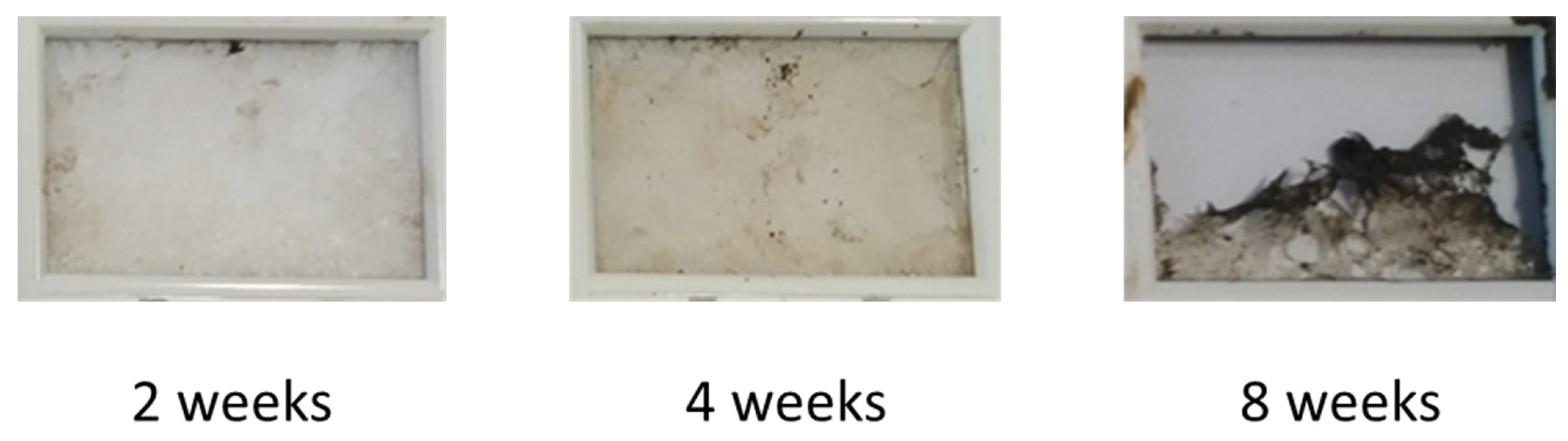 Polymers 16 02236 g007