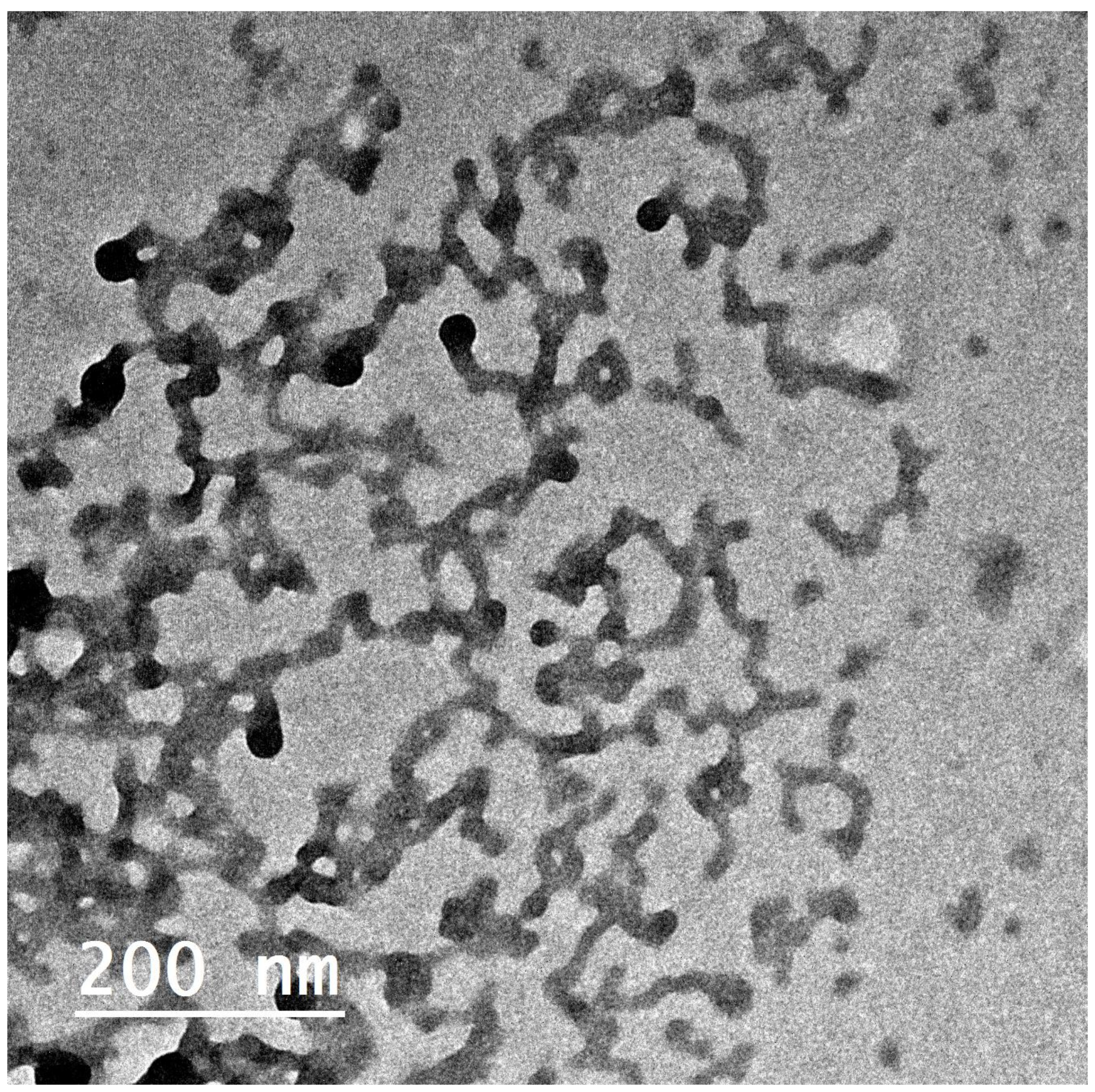 Polymers 16 02240 g003