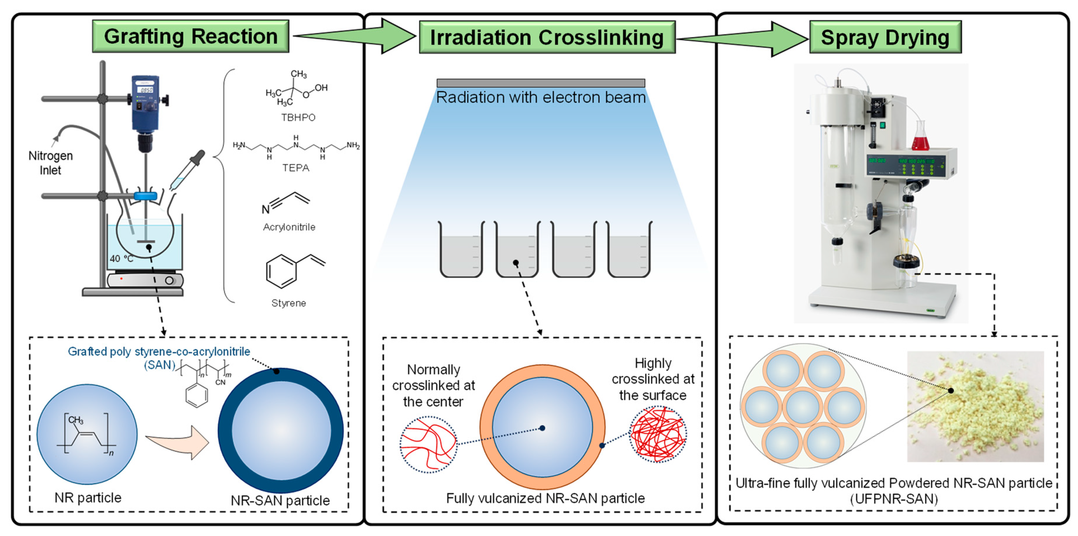 Polymers 16 02254 g001