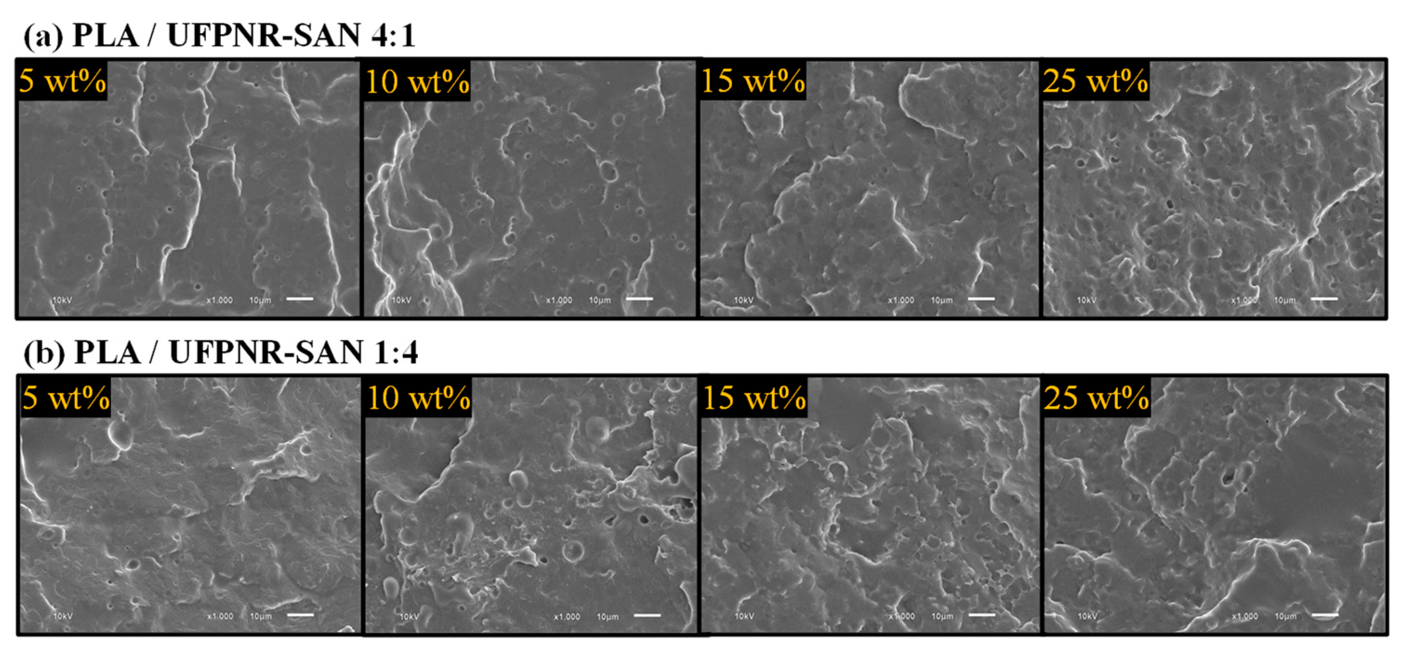 Polymers 16 02254 g004