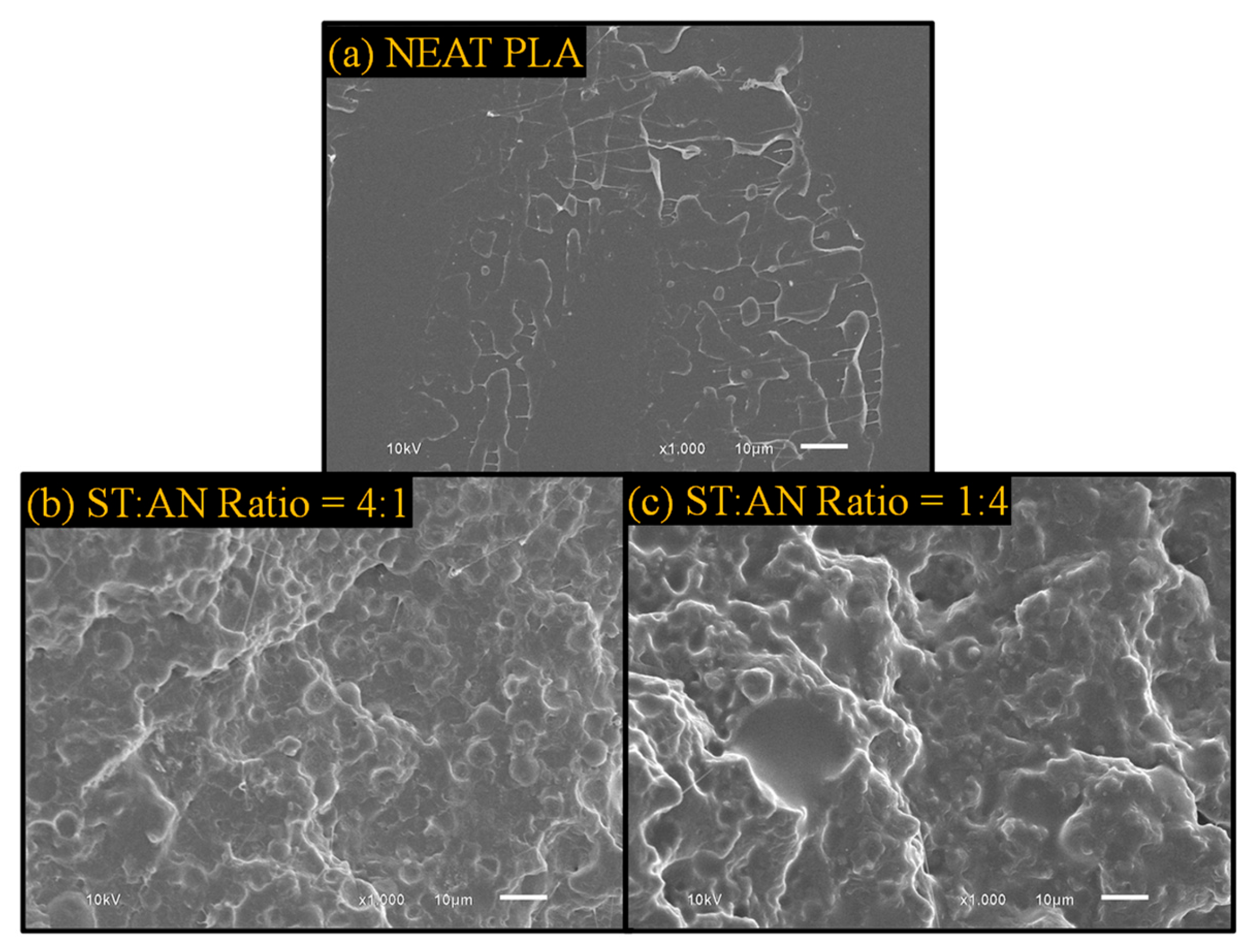 Polymers 16 02254 g009