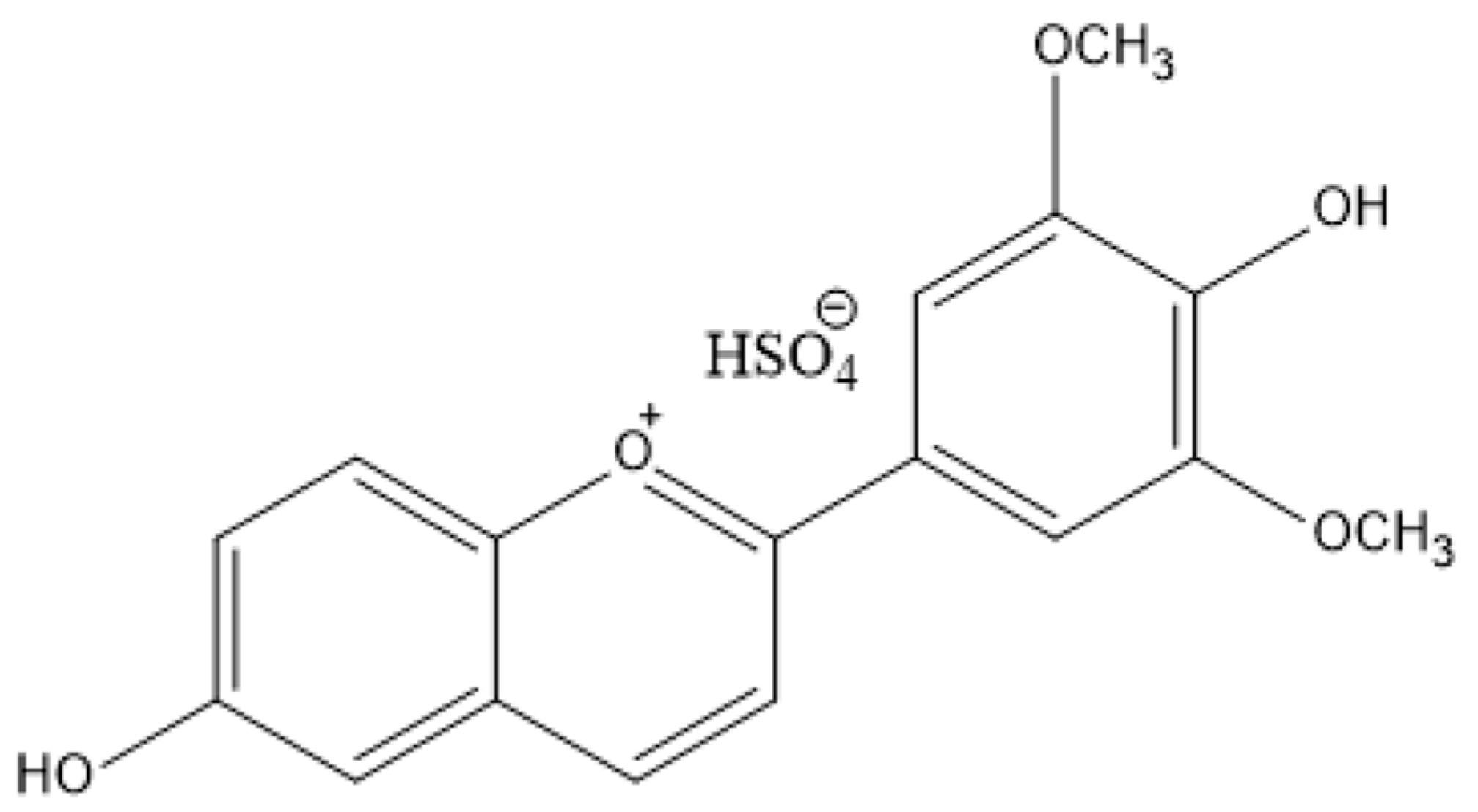 Polymers 16 02256 g001