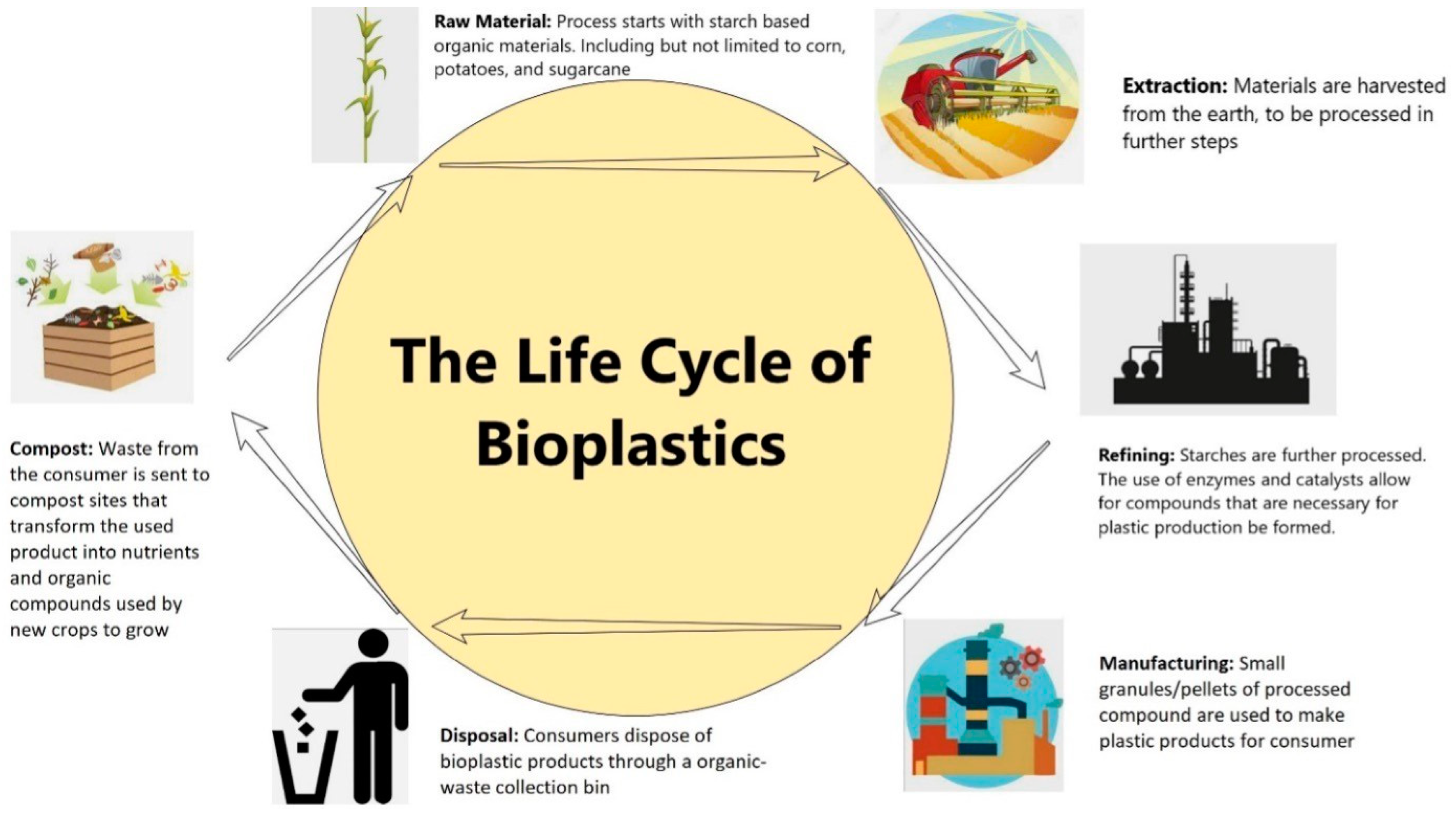 Biodegradable Biobased Polymers: A Review of the State of the Art 