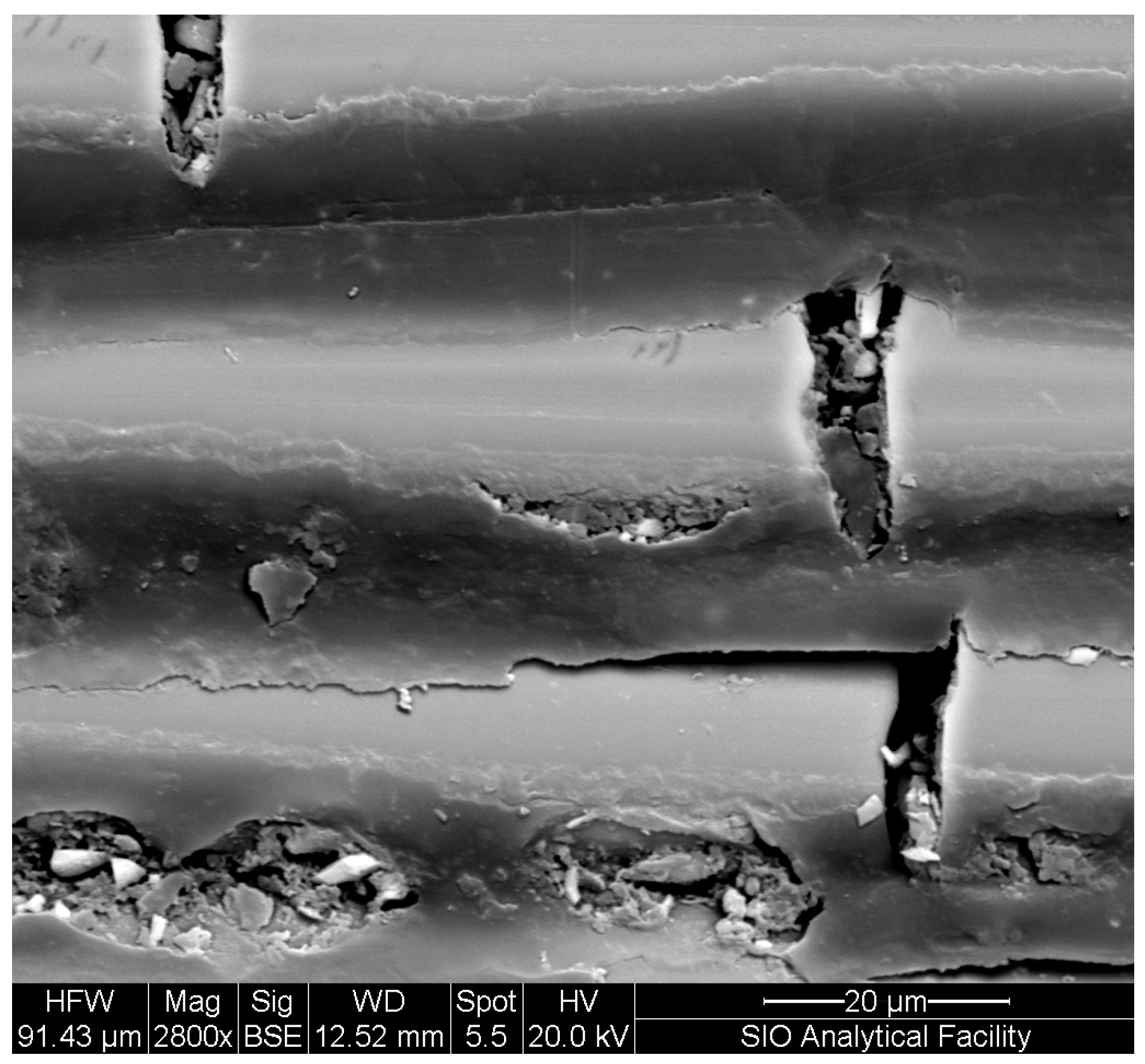 Polymers 16 02265 g003 Polymers 16 02265 g003