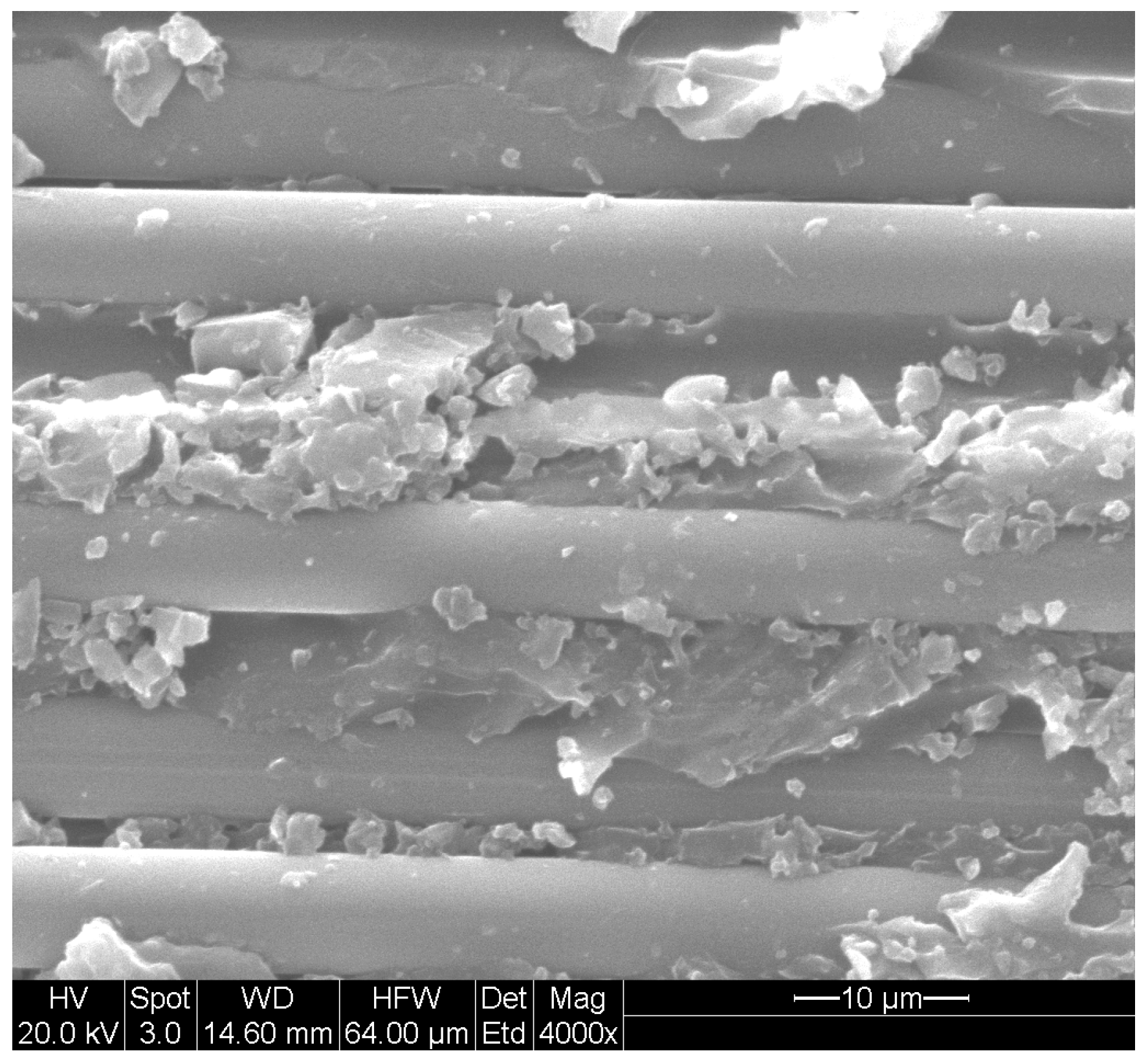 Polymers 16 02265 g004 Polymers 16 02265 g004