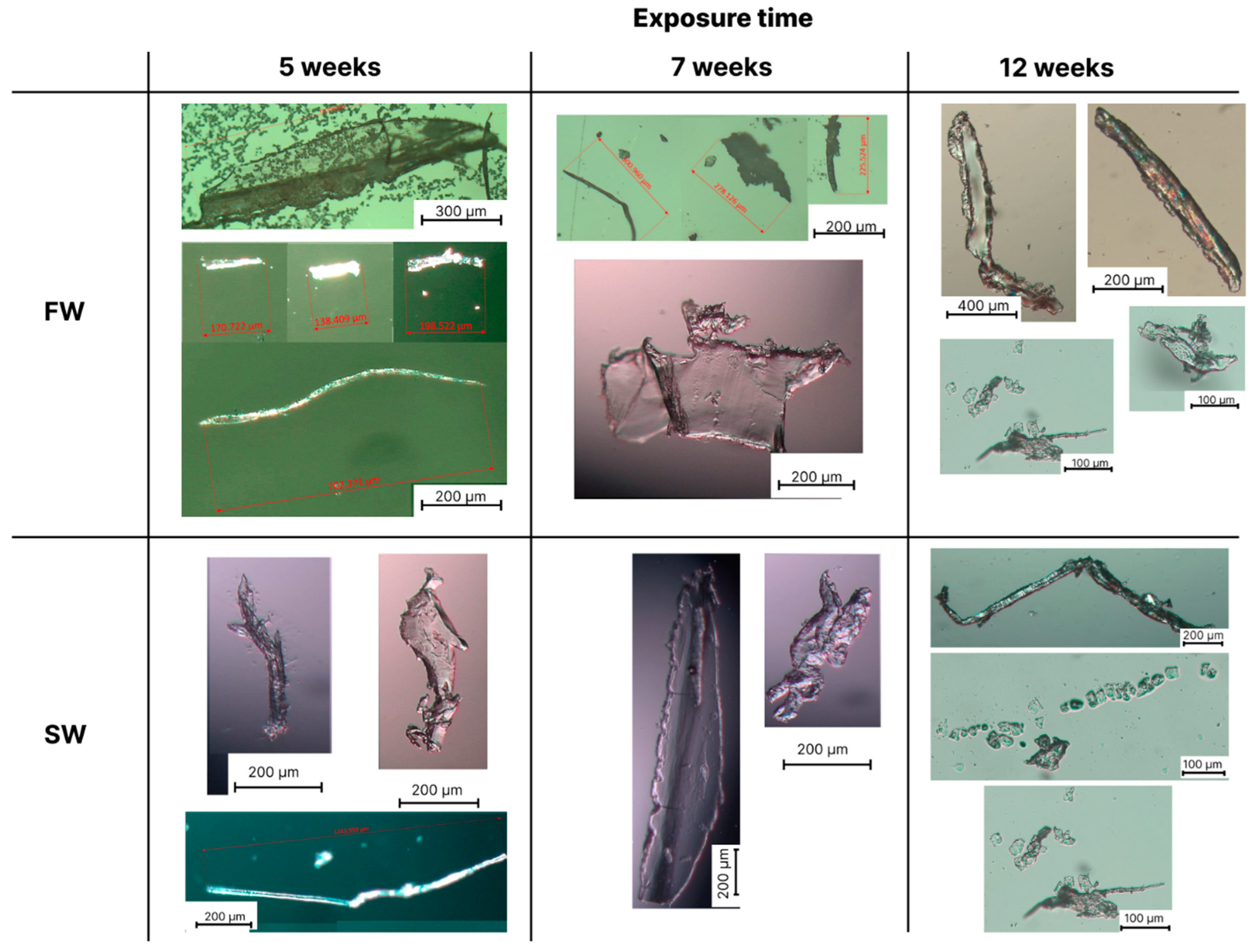 Polymers 16 02268 g003