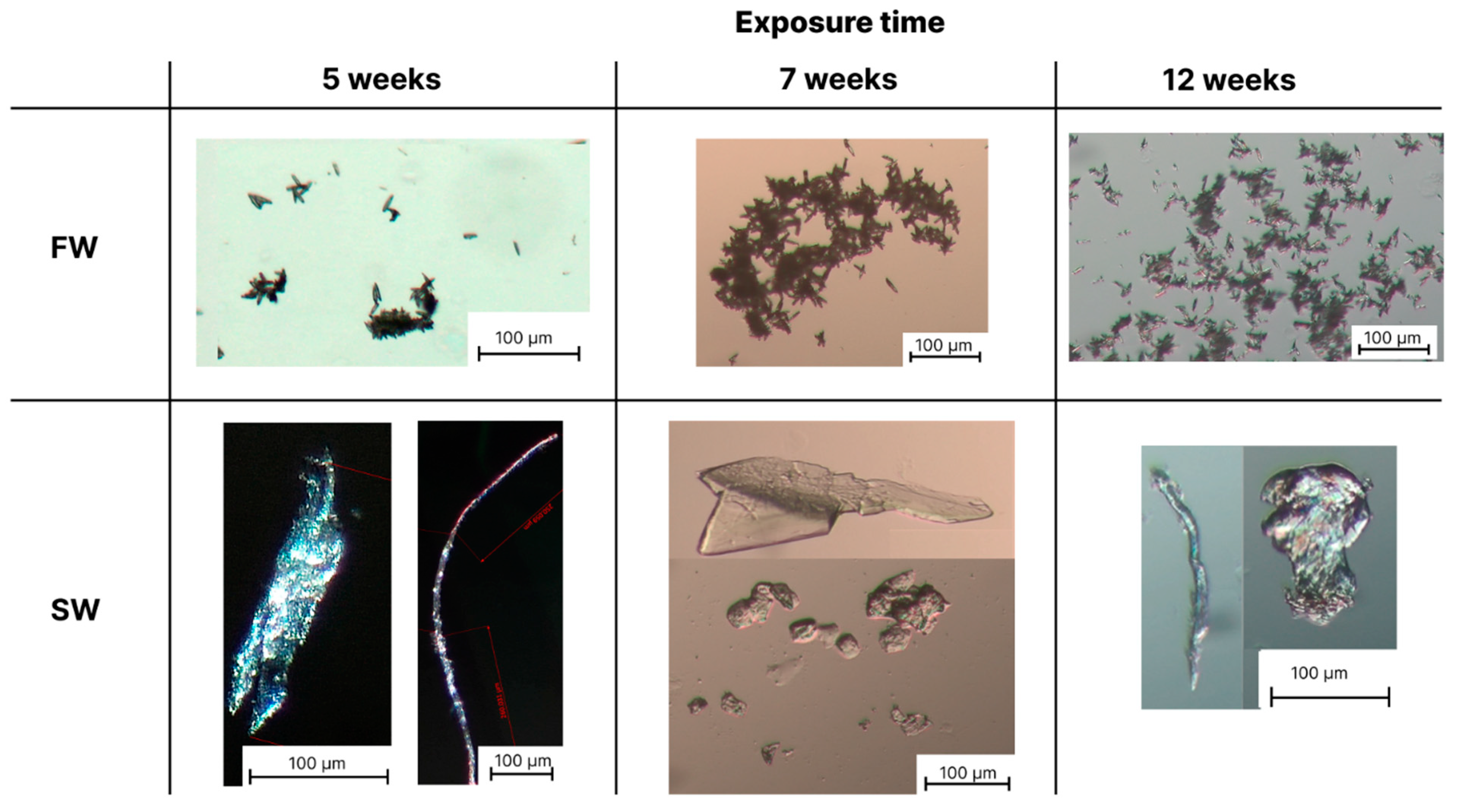 Polymers 16 02268 g004