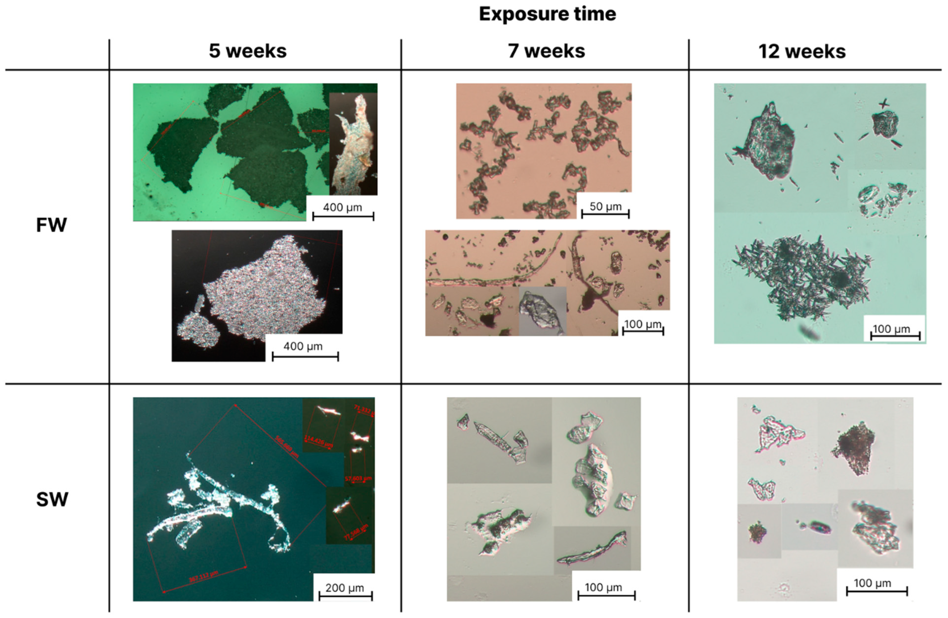 Polymers 16 02268 g005