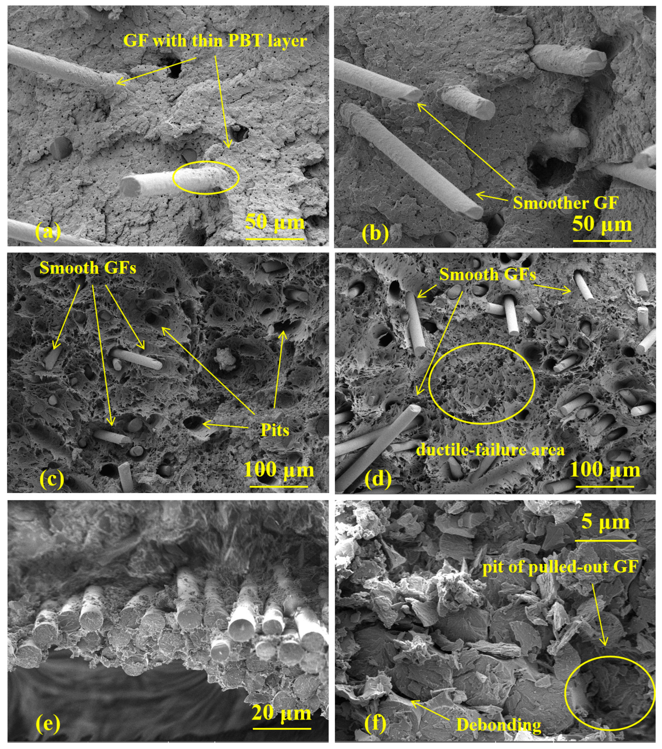 Polymers 16 02269 g002