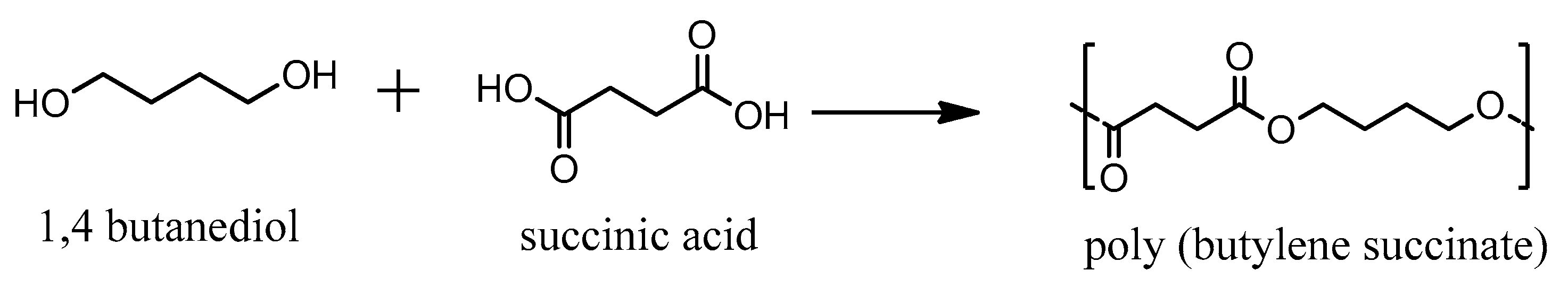 Polymers 16 02270 g001