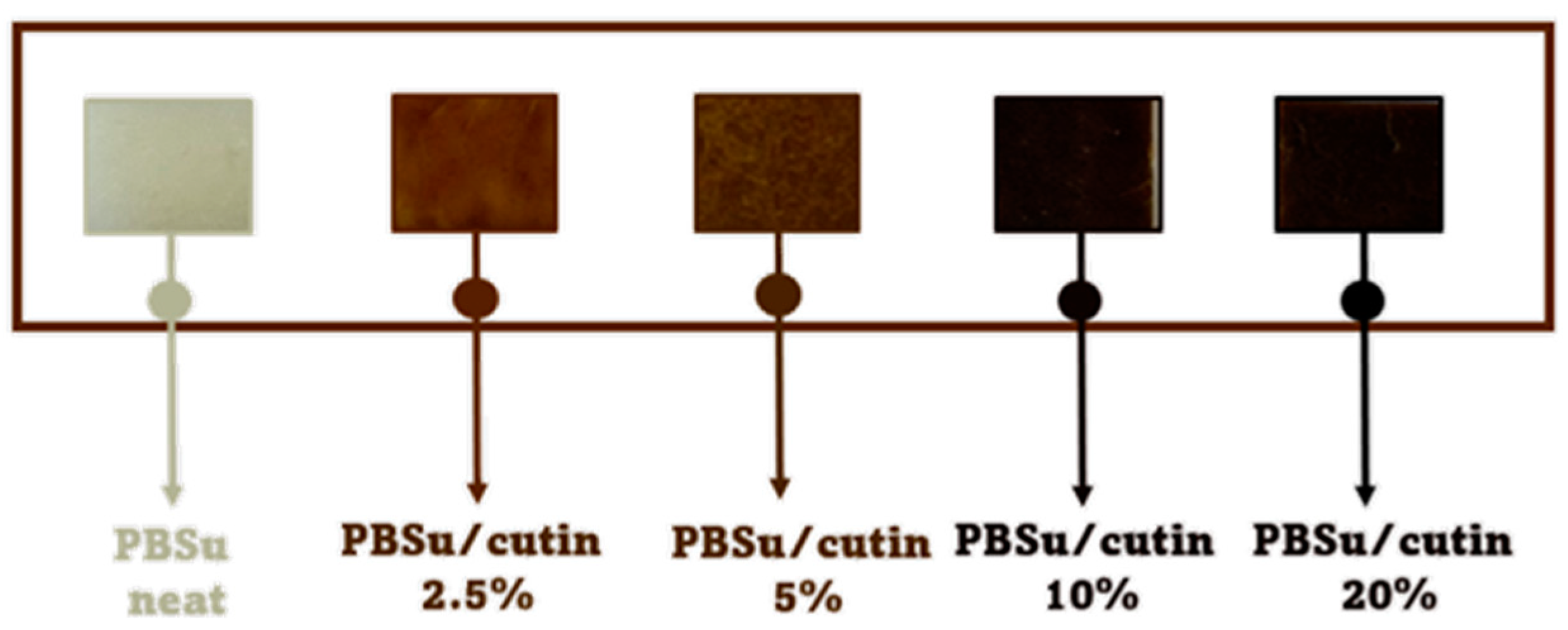 Polymers 16 02270 g003