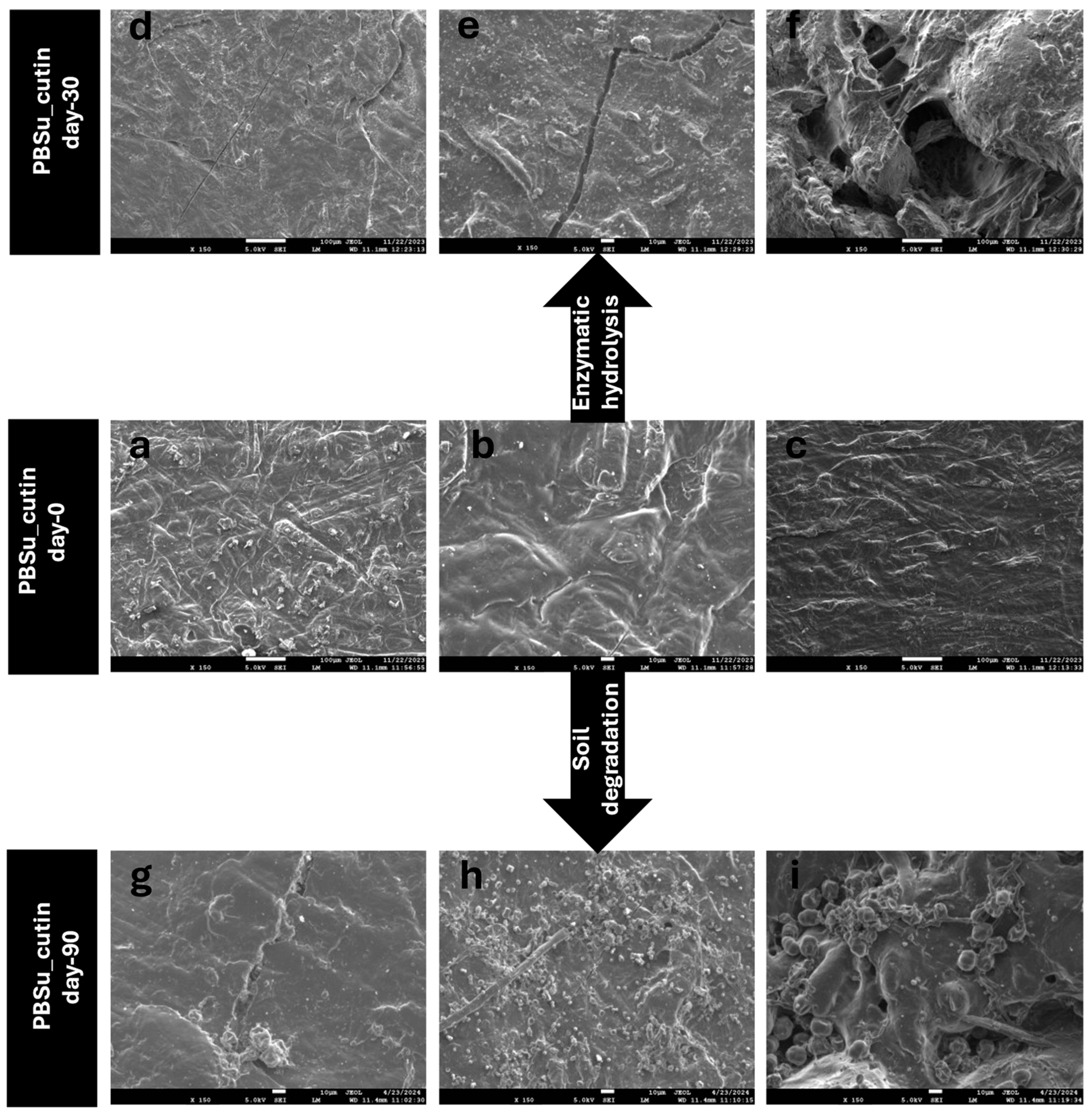 Polymers 16 02270 g014