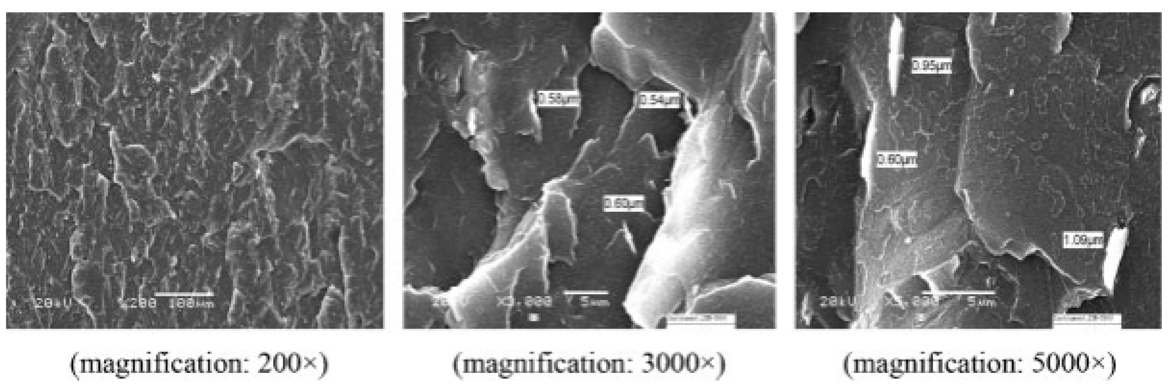 Polymers 16 02273 g002