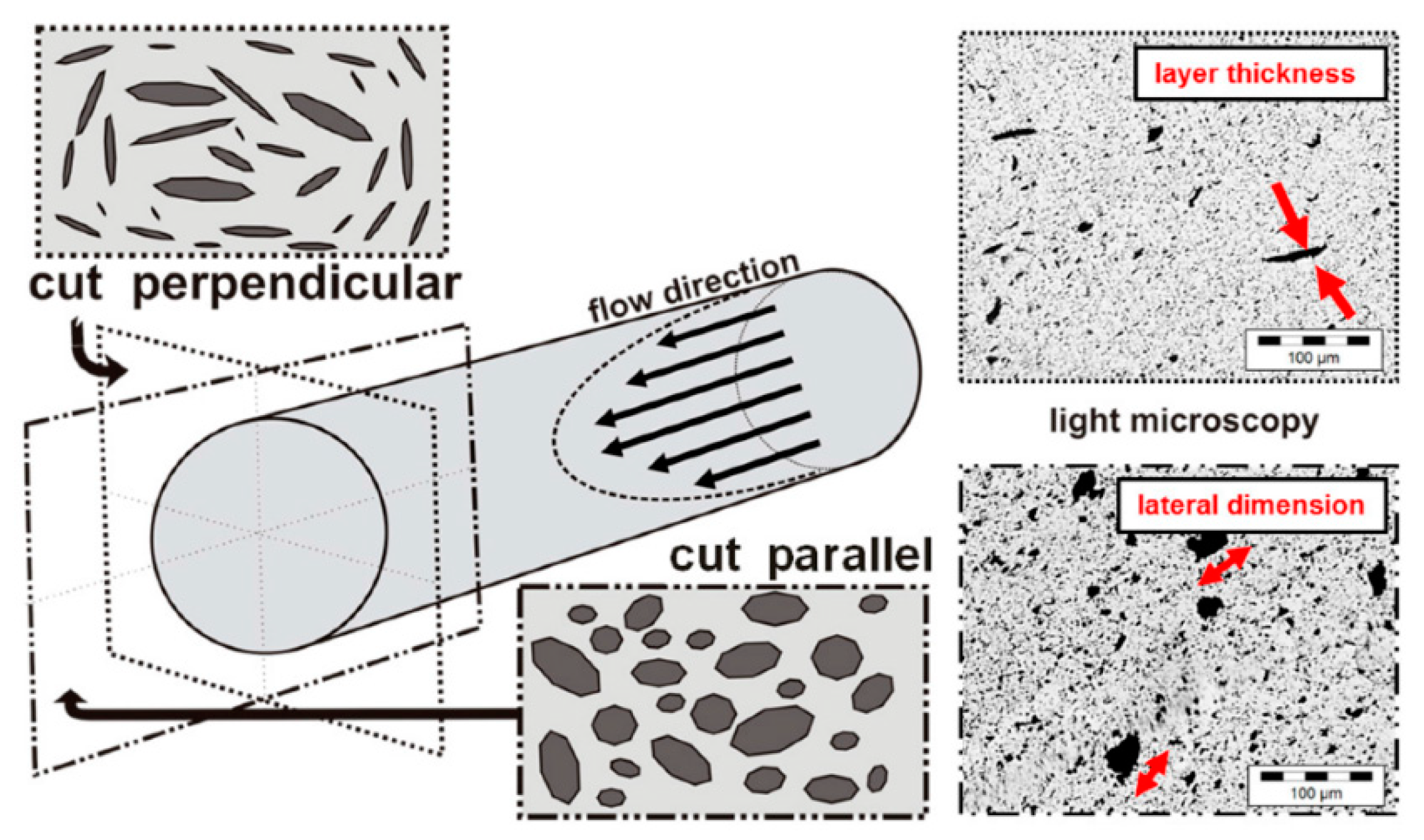 Polymers 16 02273 g003