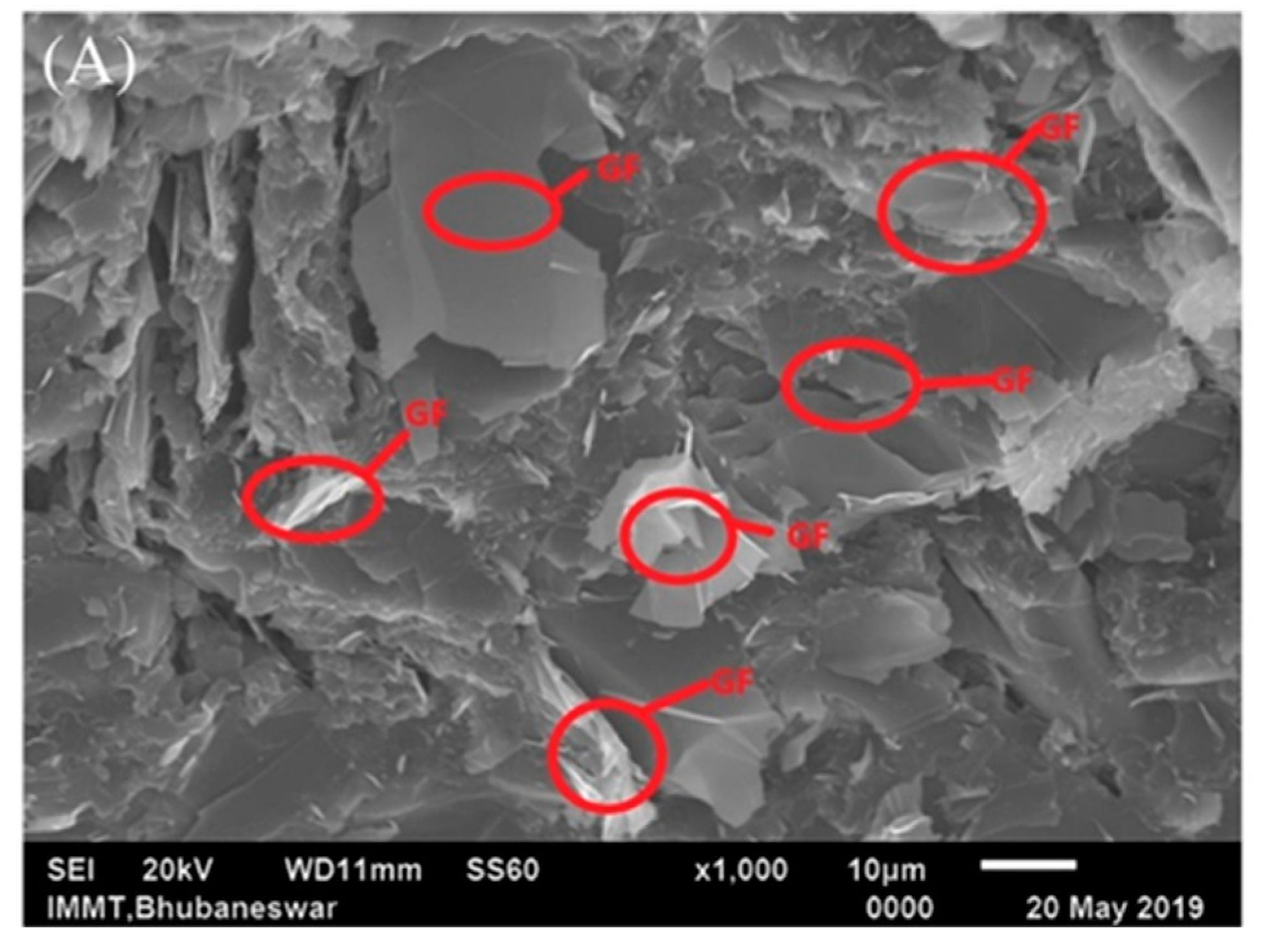 Polymers 16 02273 g005