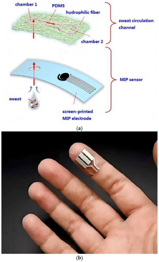 オーダー　専用 A Wearable Electrochemical Sensor Based on a Molecularly