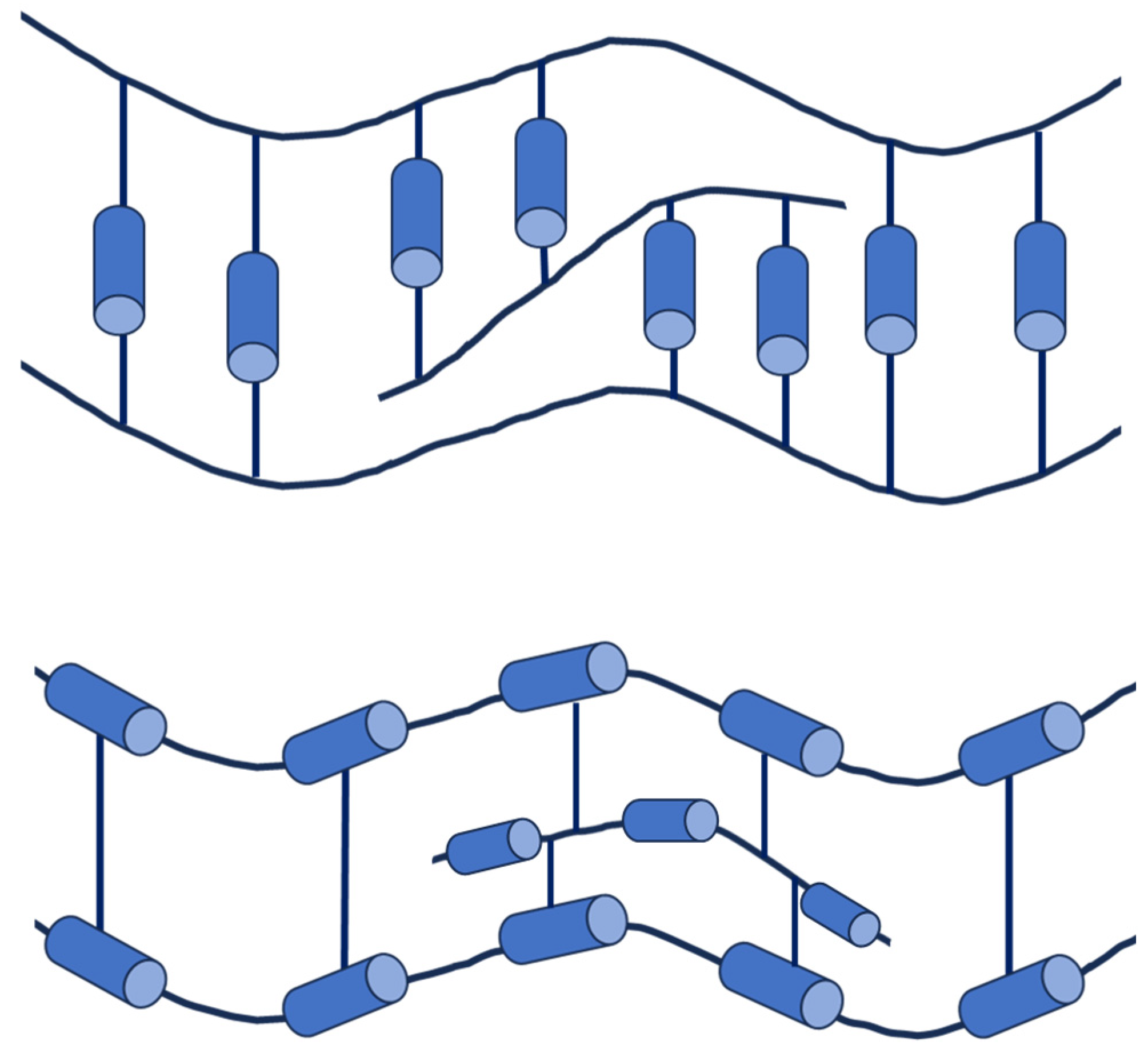 Polymers 16 02293 g005