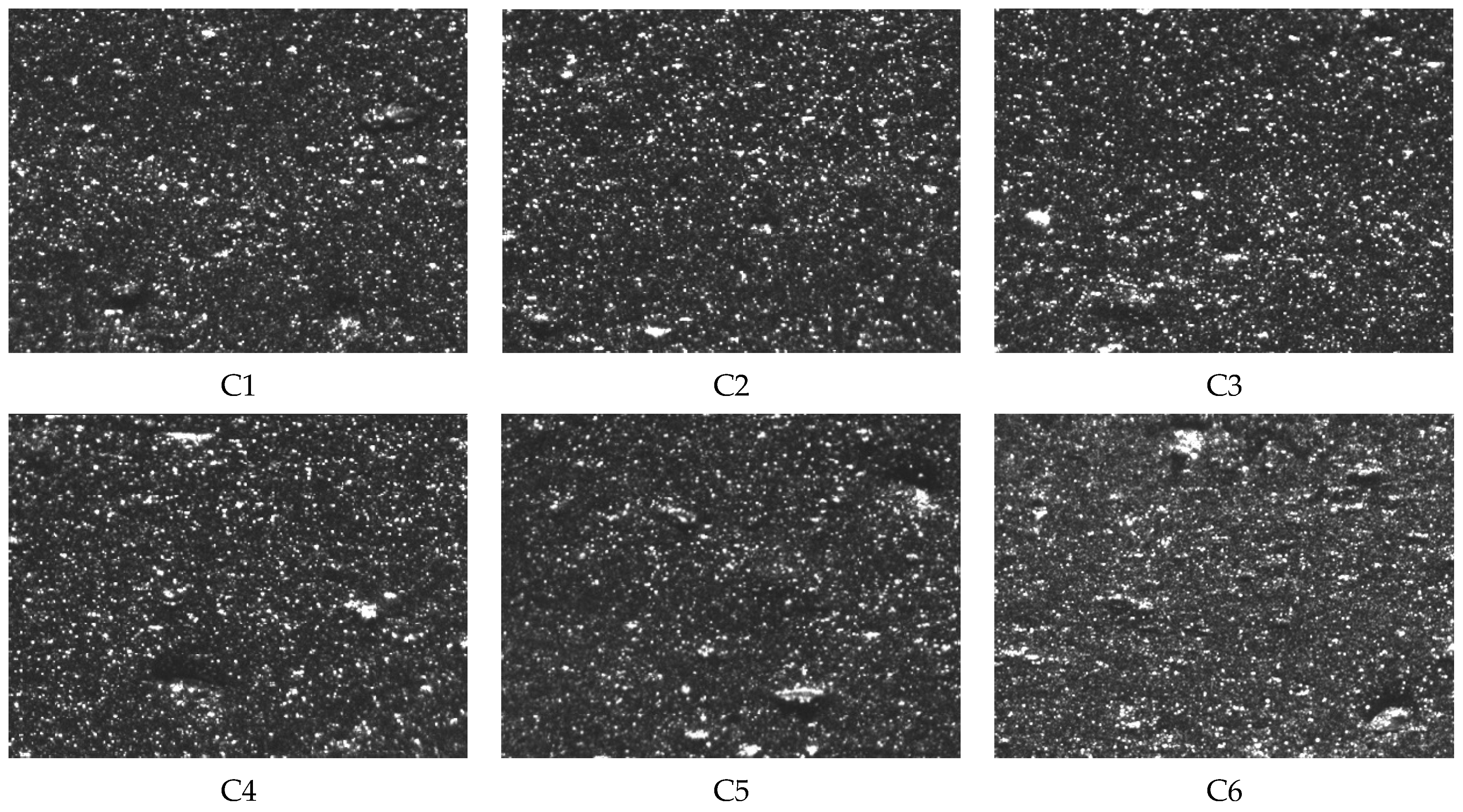 Polymers 16 02294 g005